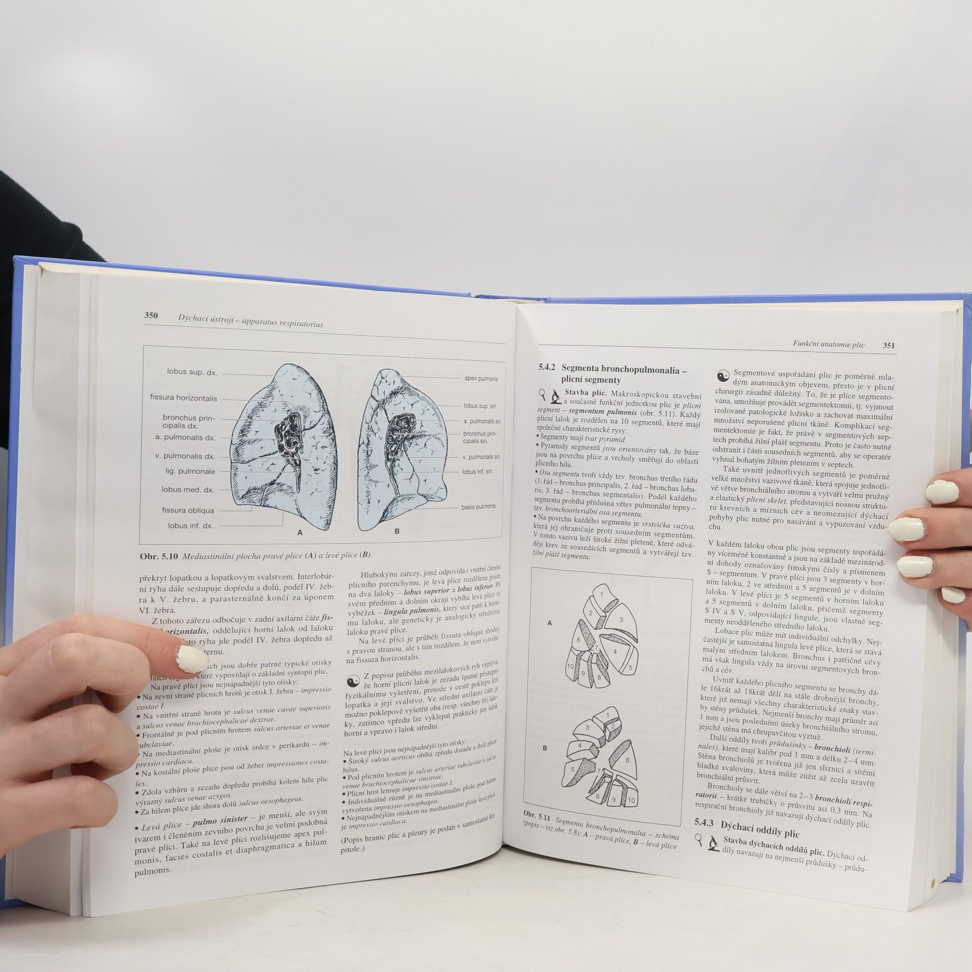 Ivan Dylevský Funkční anatomie člověka