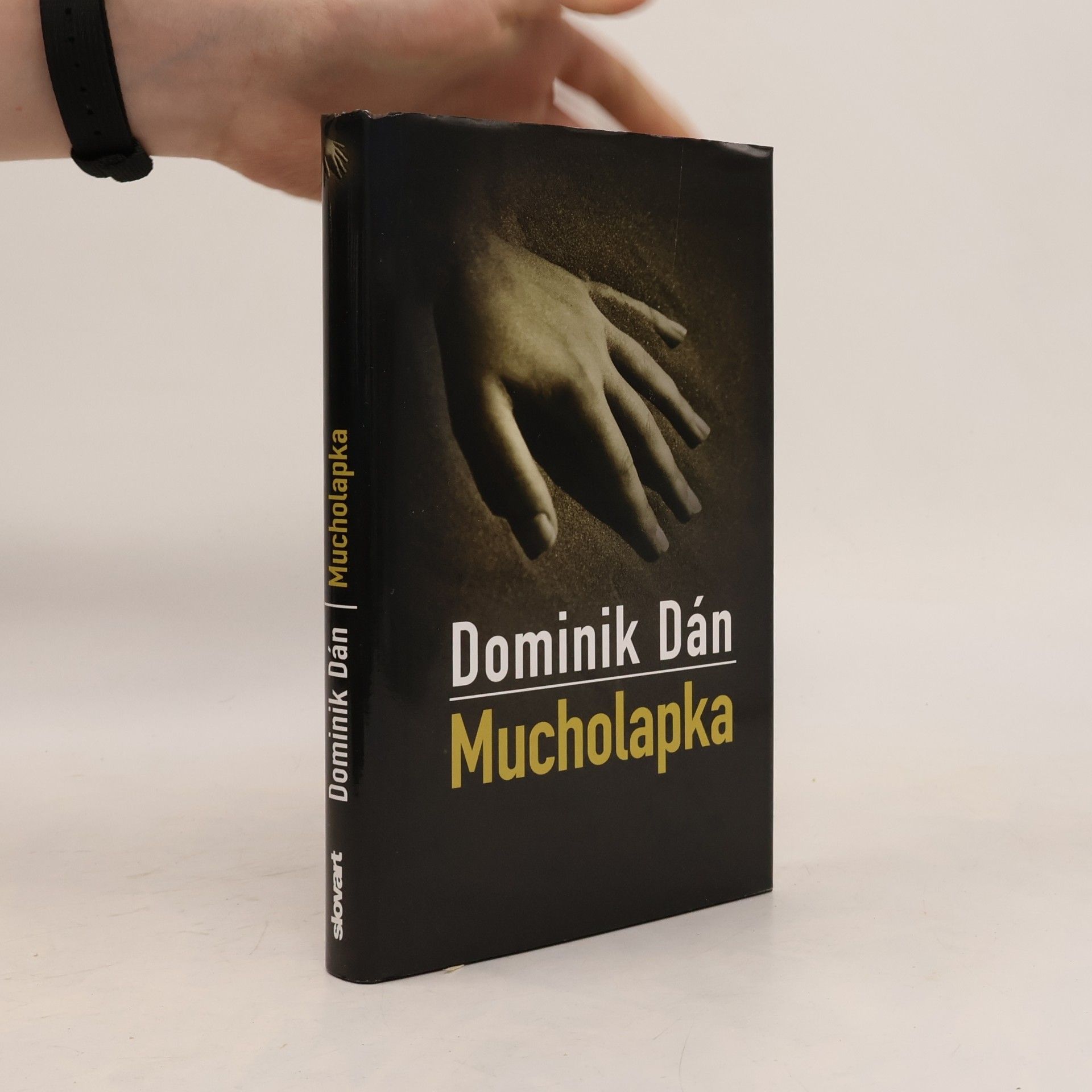 Dominik Dán Mucholapka
