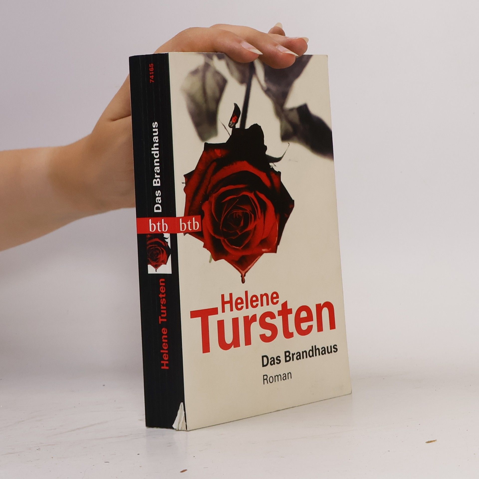 Helene Tursten Das Brandhaus
