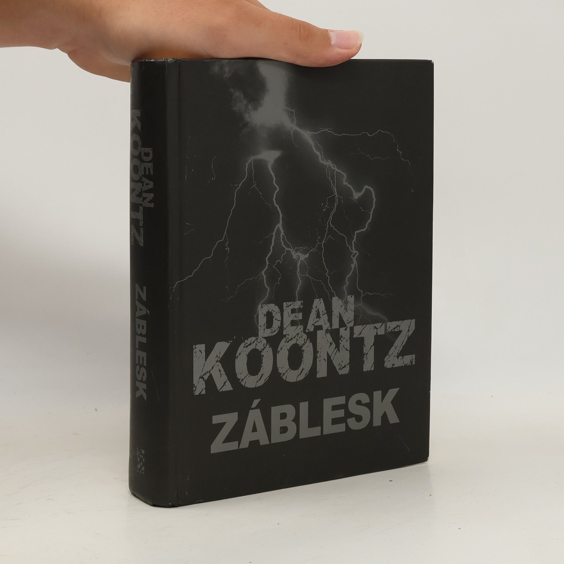 Dean Ray Koontz Záblesk