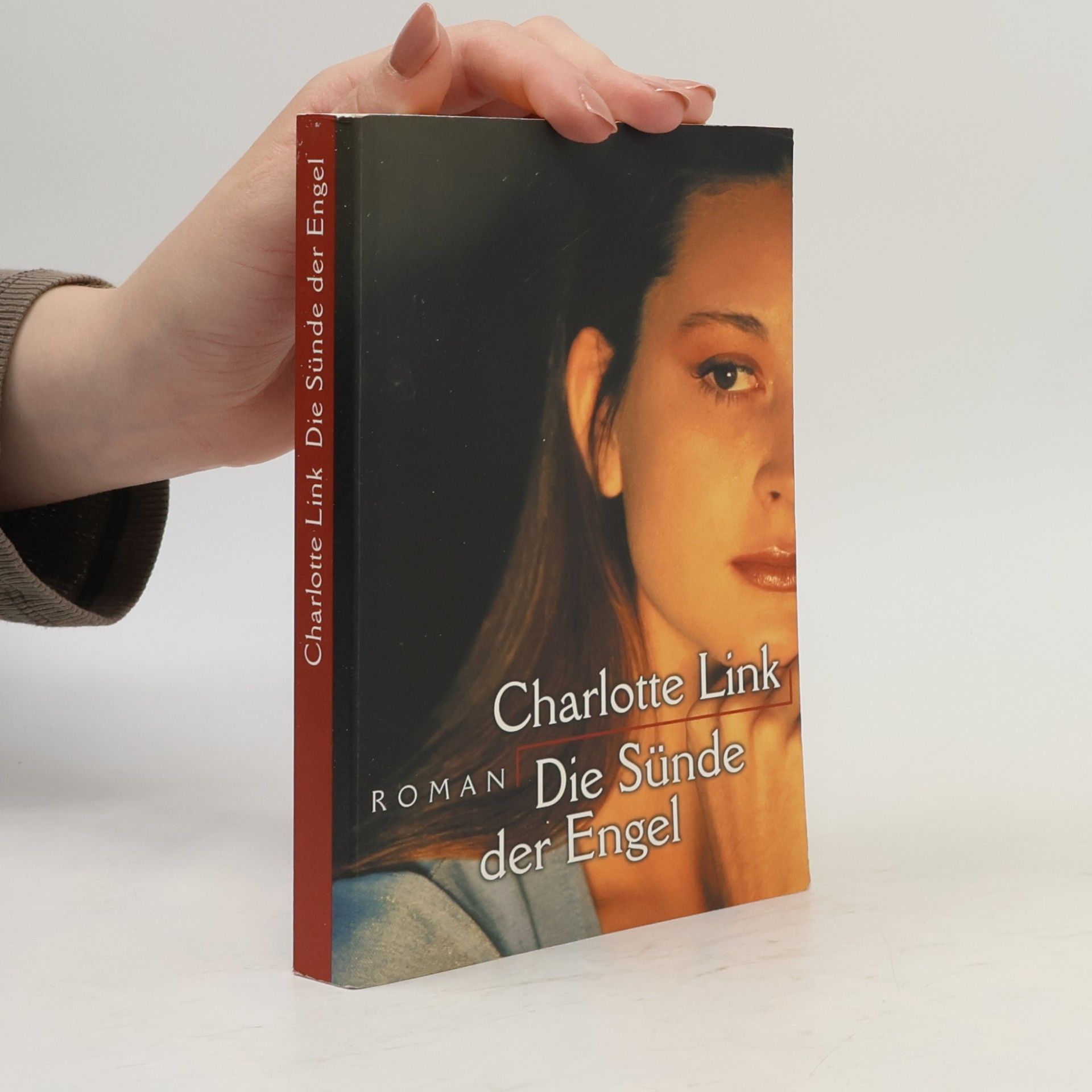 Charlotte Link Die Sünde der Engel
