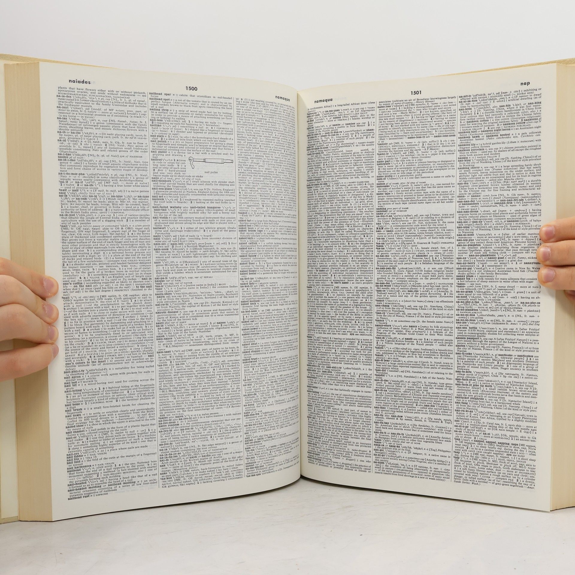 Philip B. Gove Webster's Third New International Dictionary of the English Language. Volume II. H to R