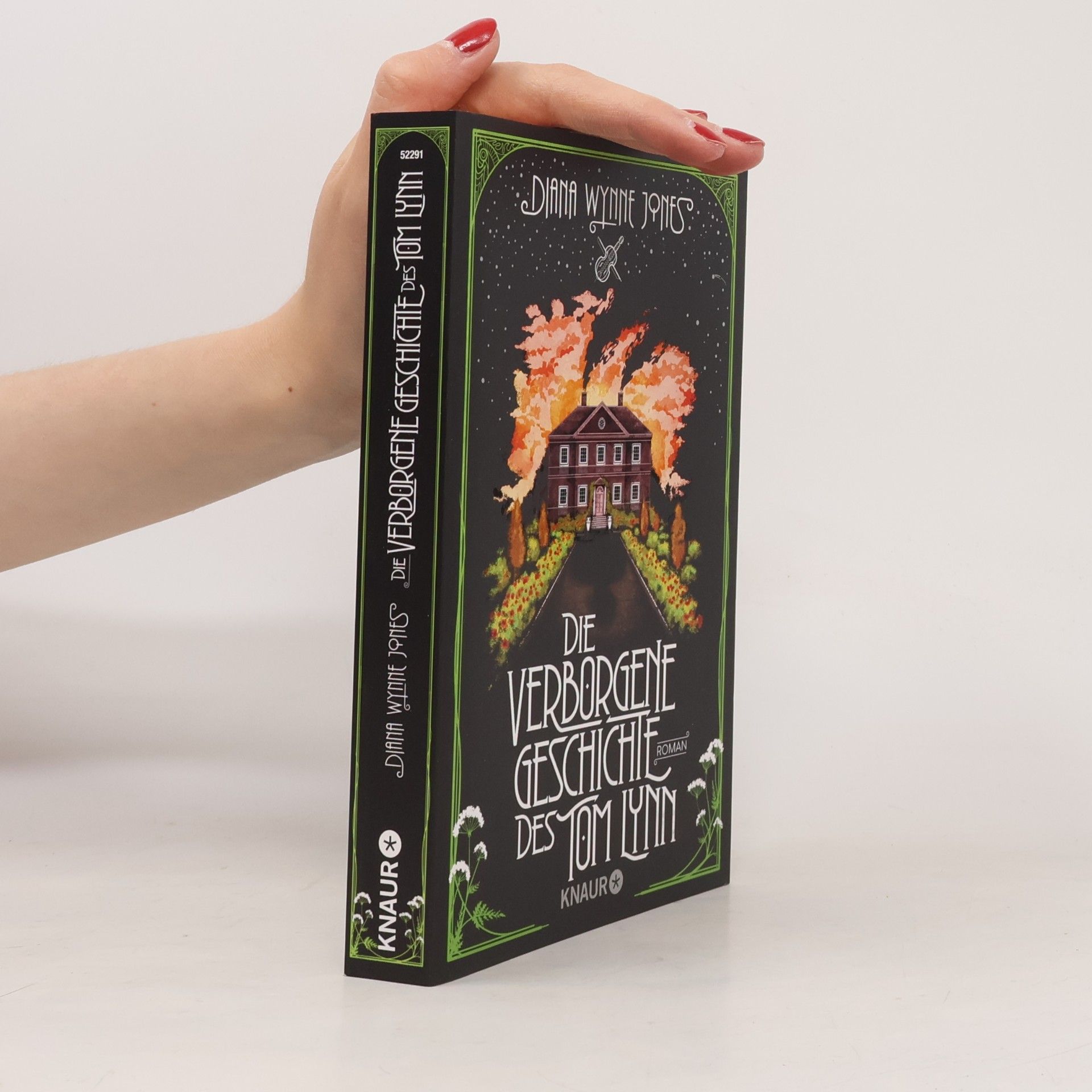 Diana Wynne Jones  Die verborgene Geschichte des Tom Lynn