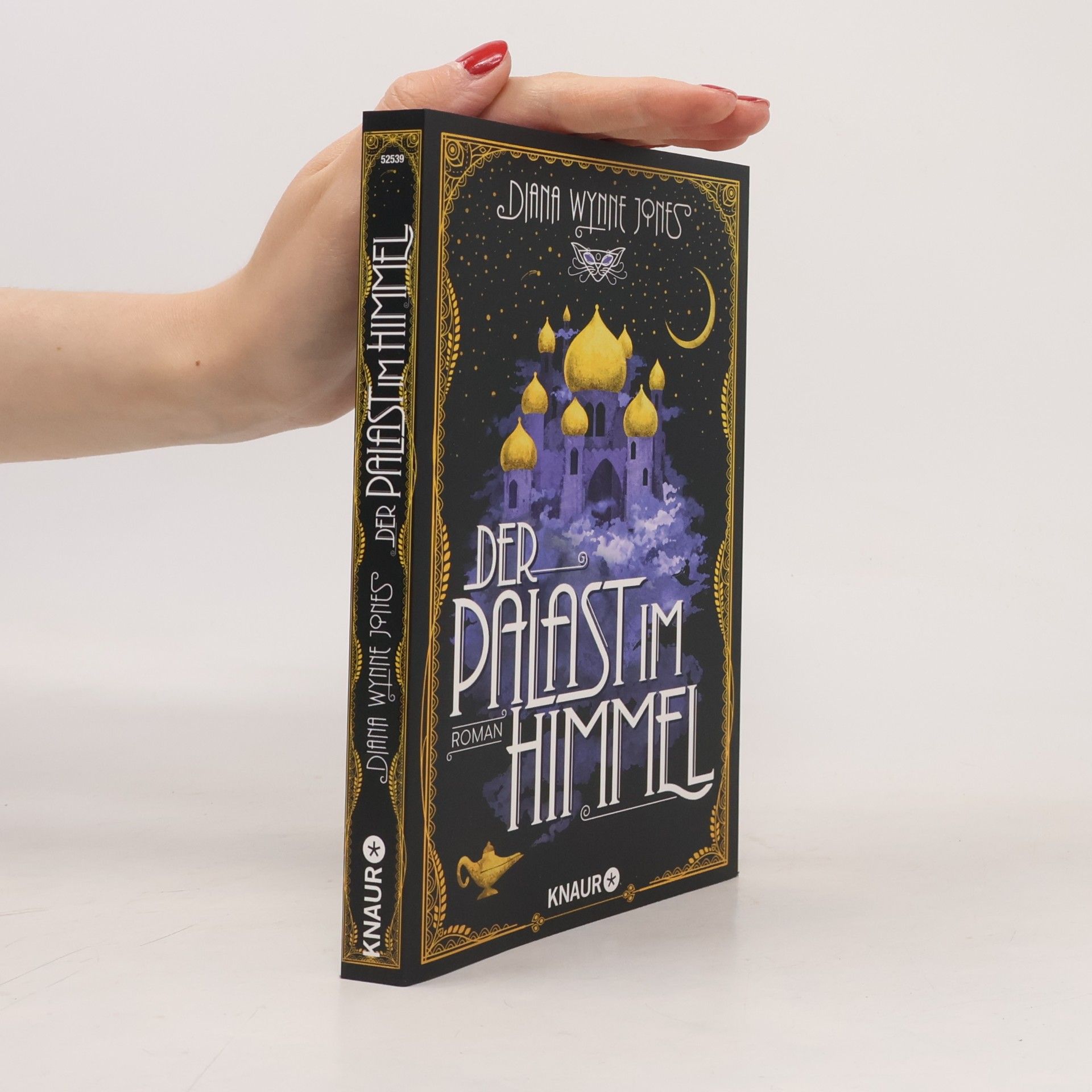 Diana Wynne Jones Der Palast im Himmel