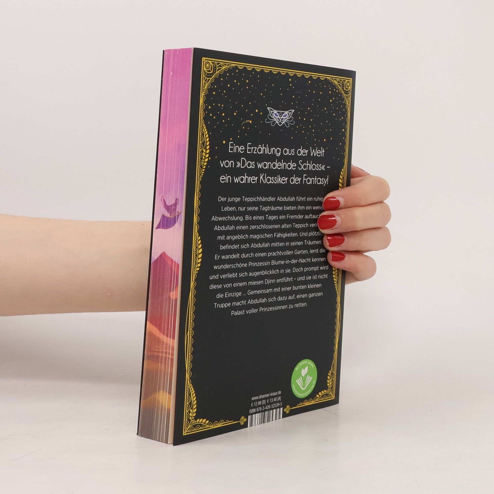 Diana Wynne Jones Der Palast im Himmel