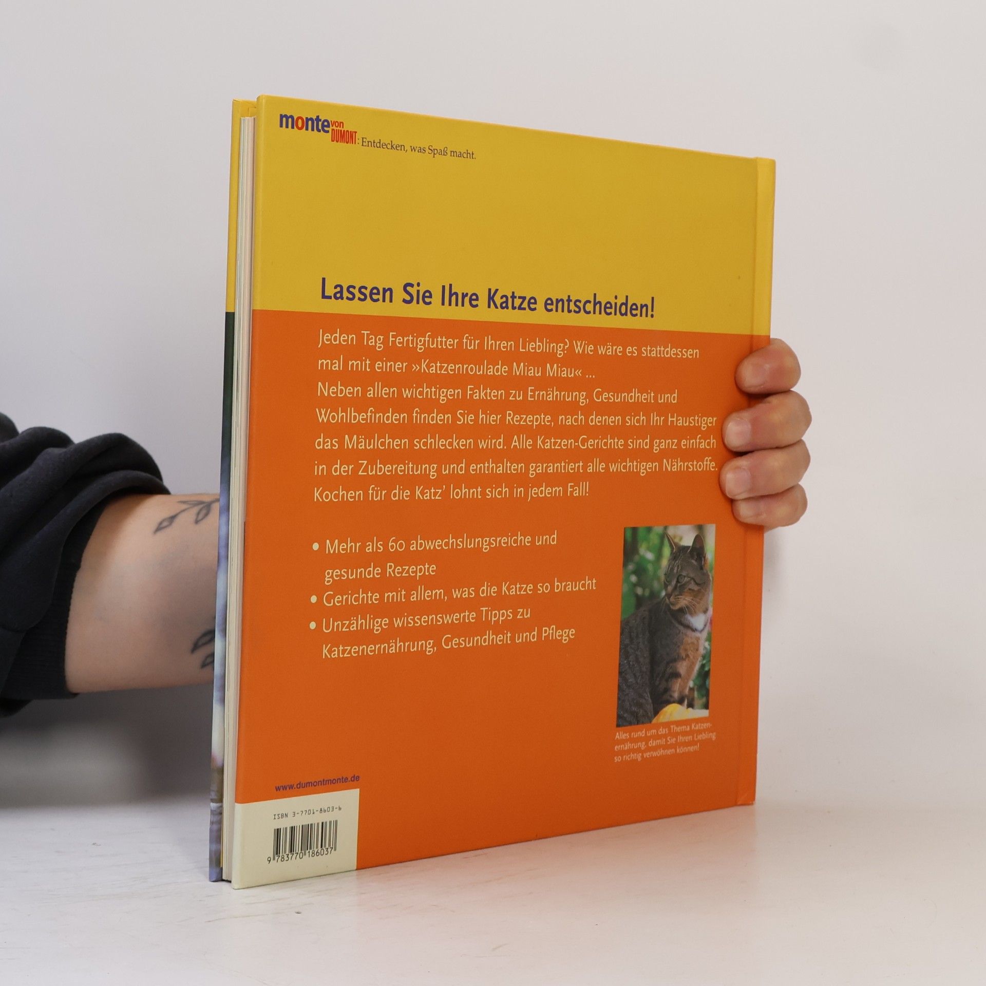 Elisabeth Meyer zu Stieghorst Das Katzenkochbuch
