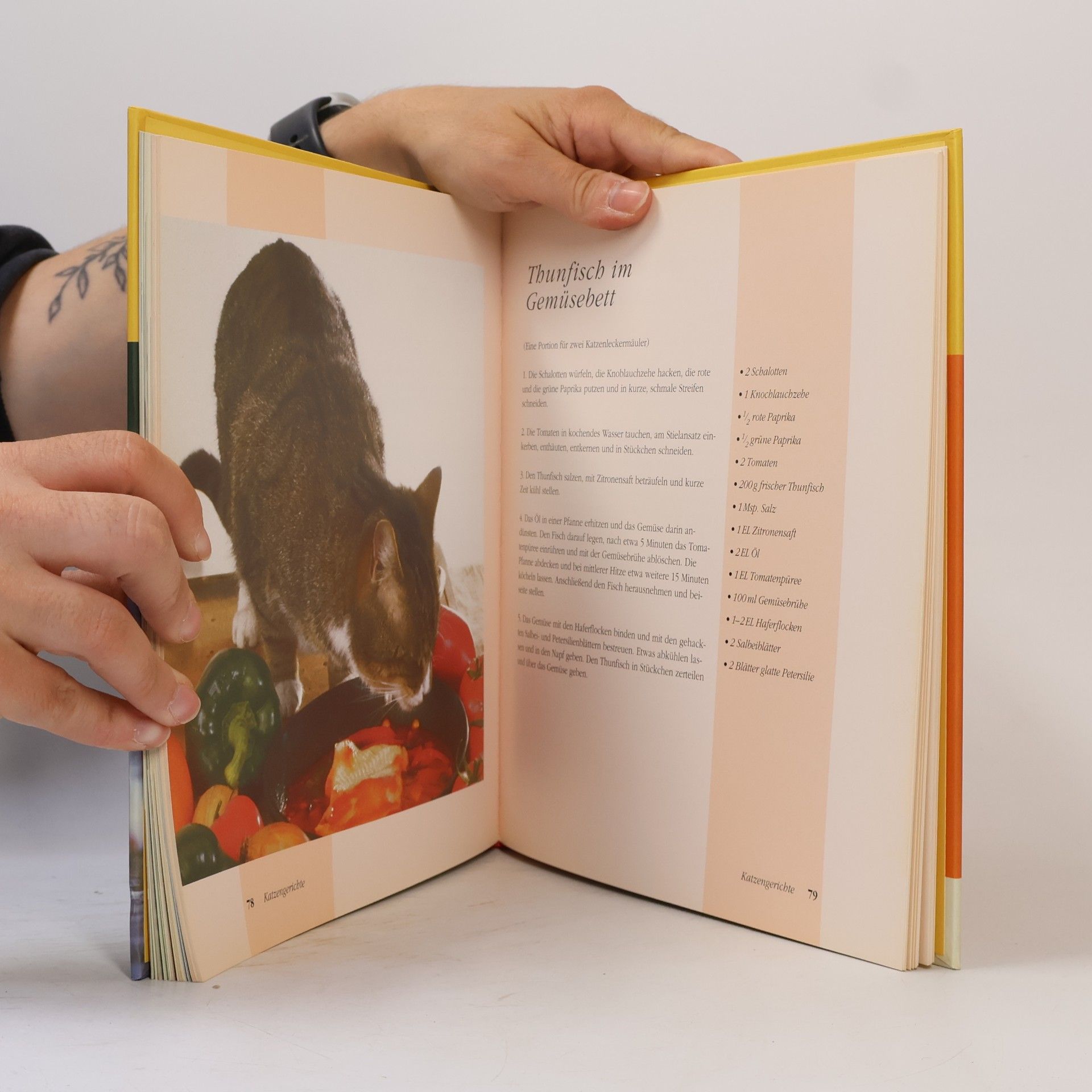 Elisabeth Meyer zu Stieghorst Das Katzenkochbuch