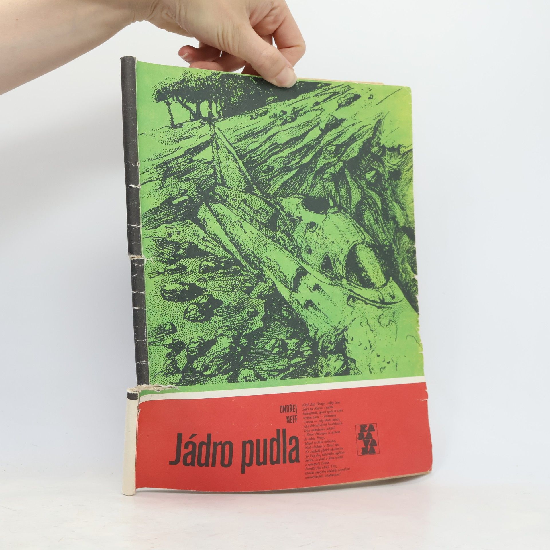 Ondřej Neff Jádro pudla