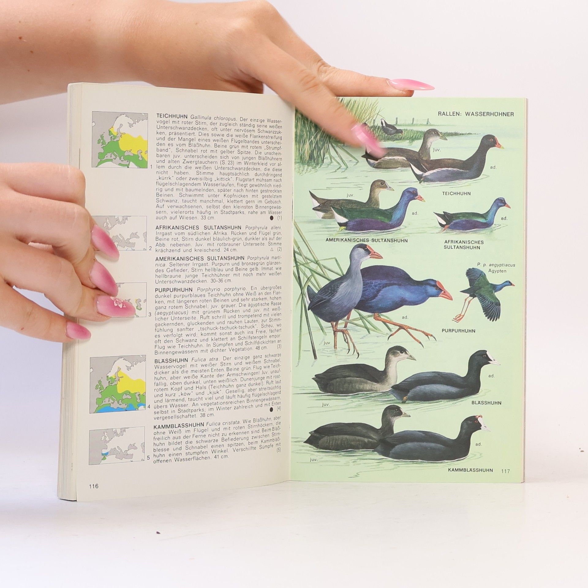 Hermann Heinzel Pareys Vogelbuch