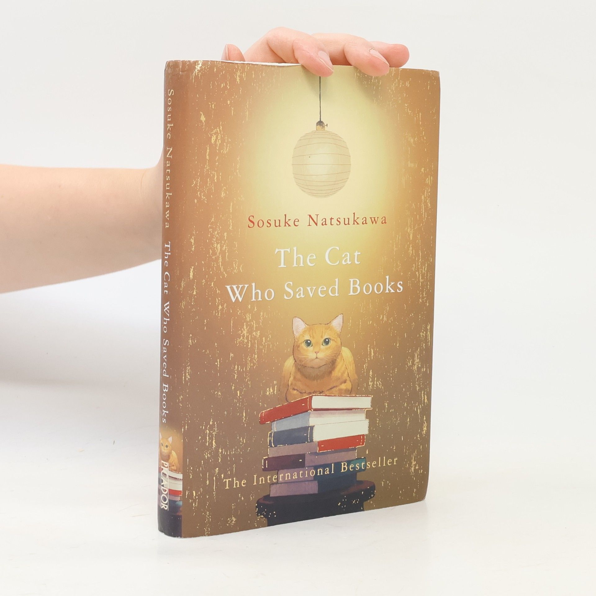 Sōsuke Natsukawa The Cat Who Saved Books