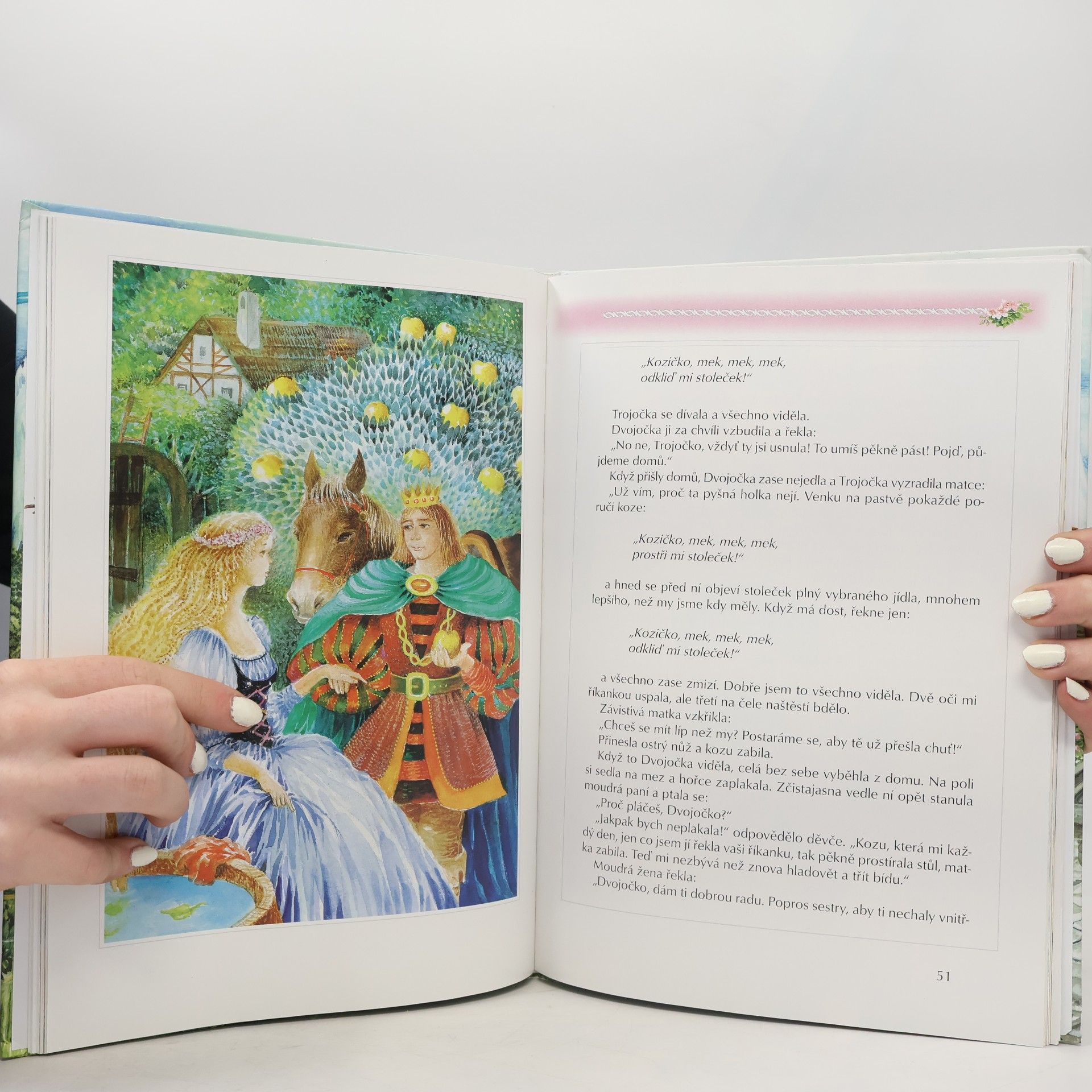 Jacob Grimm Pohádky bratří Grimmů