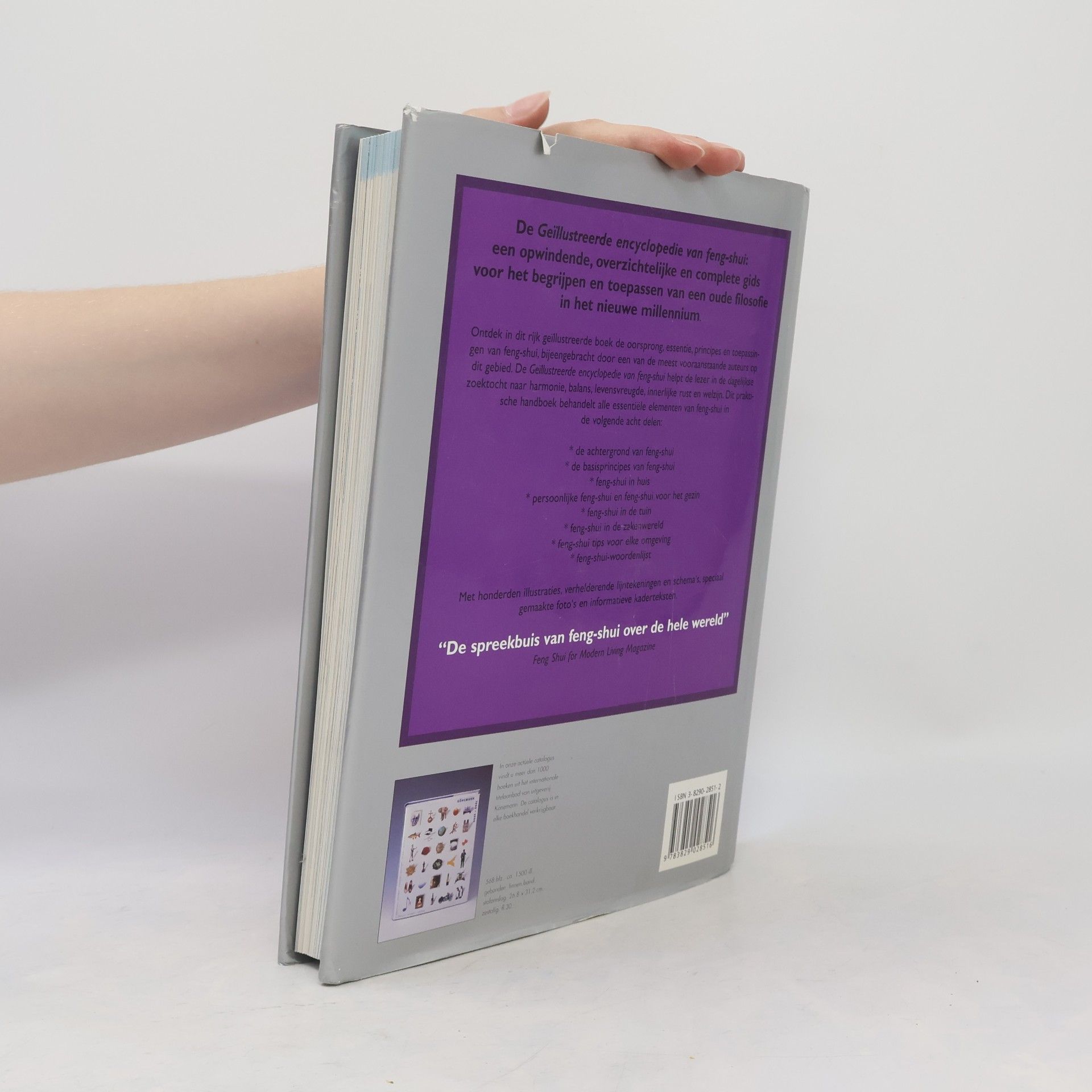 Lillian Too Geïllustreerde encyclopedie van Feng Shui