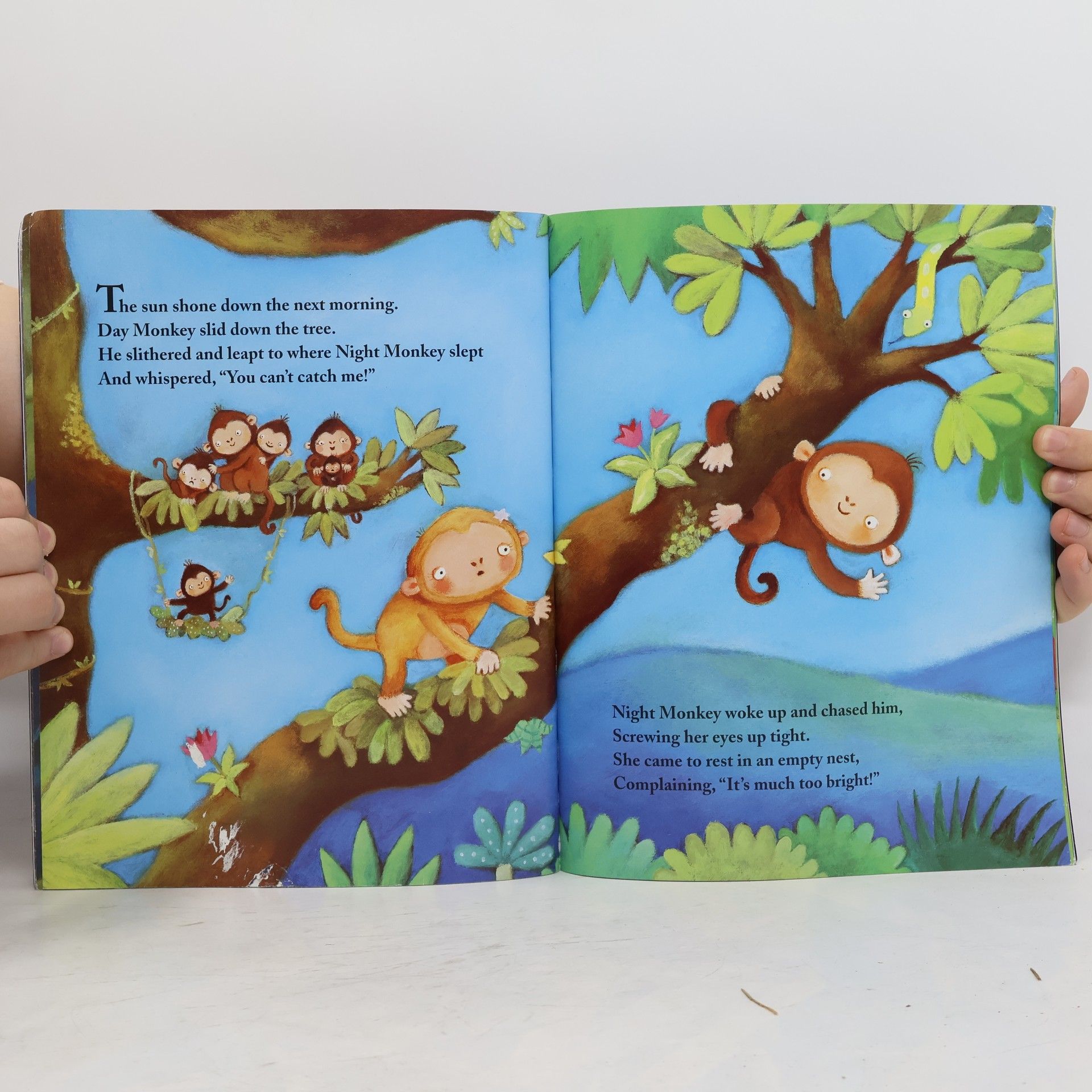 Julia Donaldson Night Monkey, Day Monkey