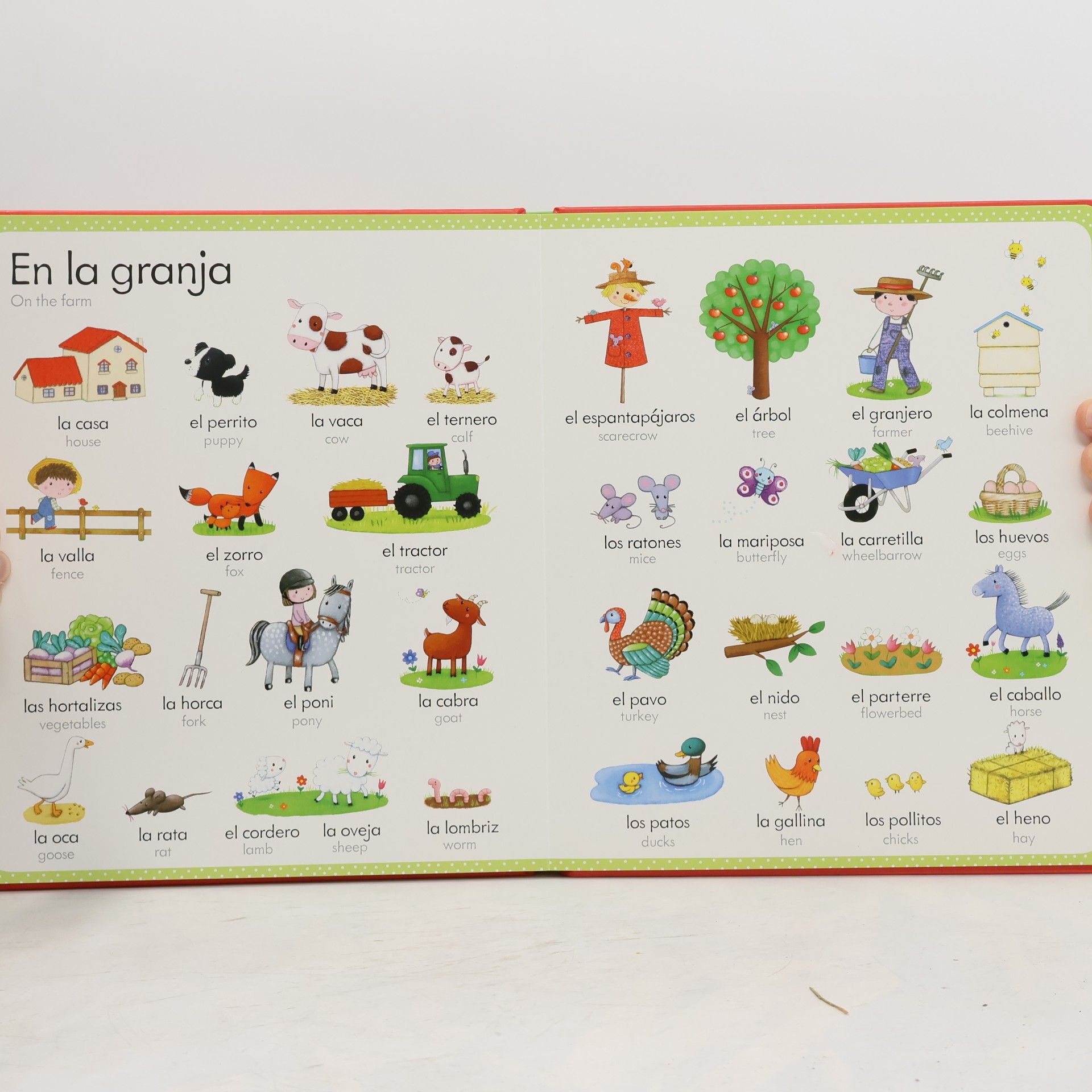 Felicity Brooks My First Spanish Word Book
