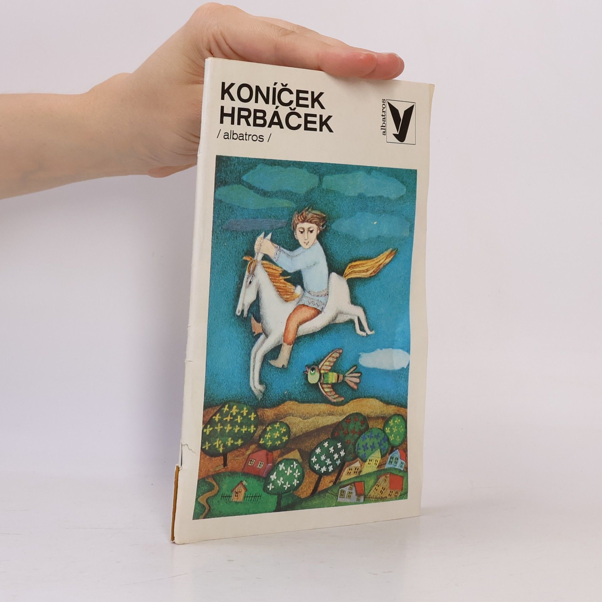 Dagmar Klementová Koníček Hrbáček