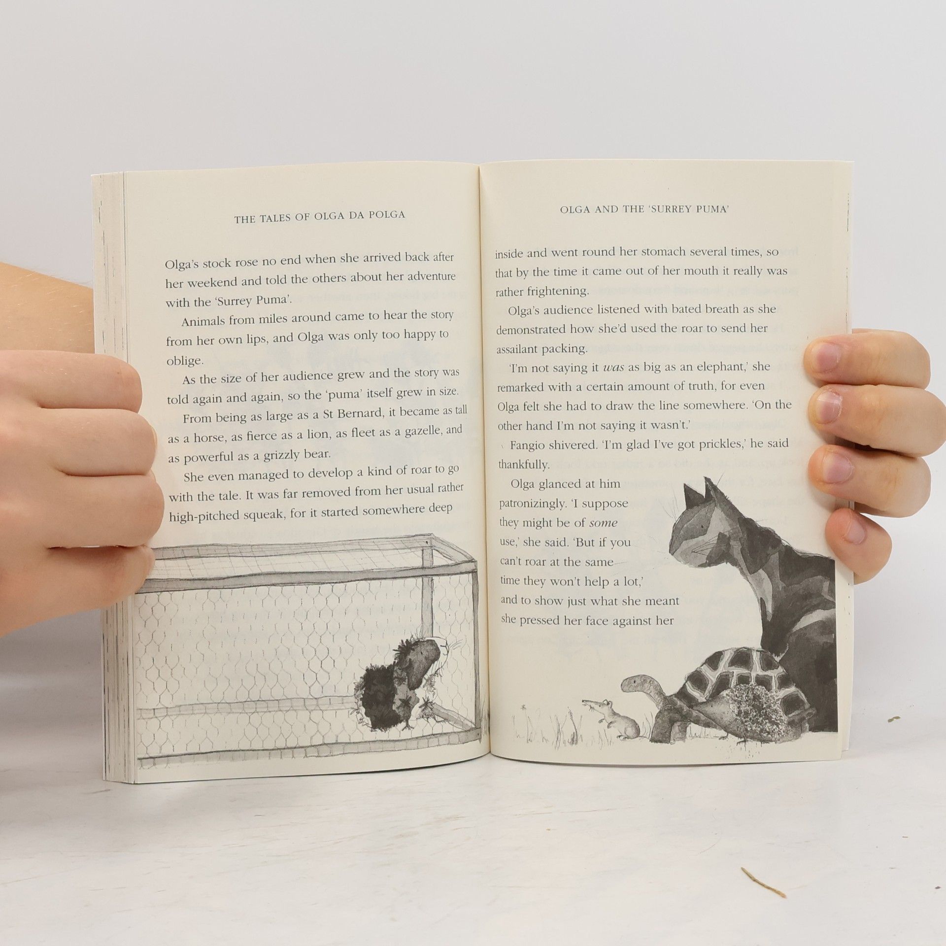 Michael Bond Tales of Olga da Polga
