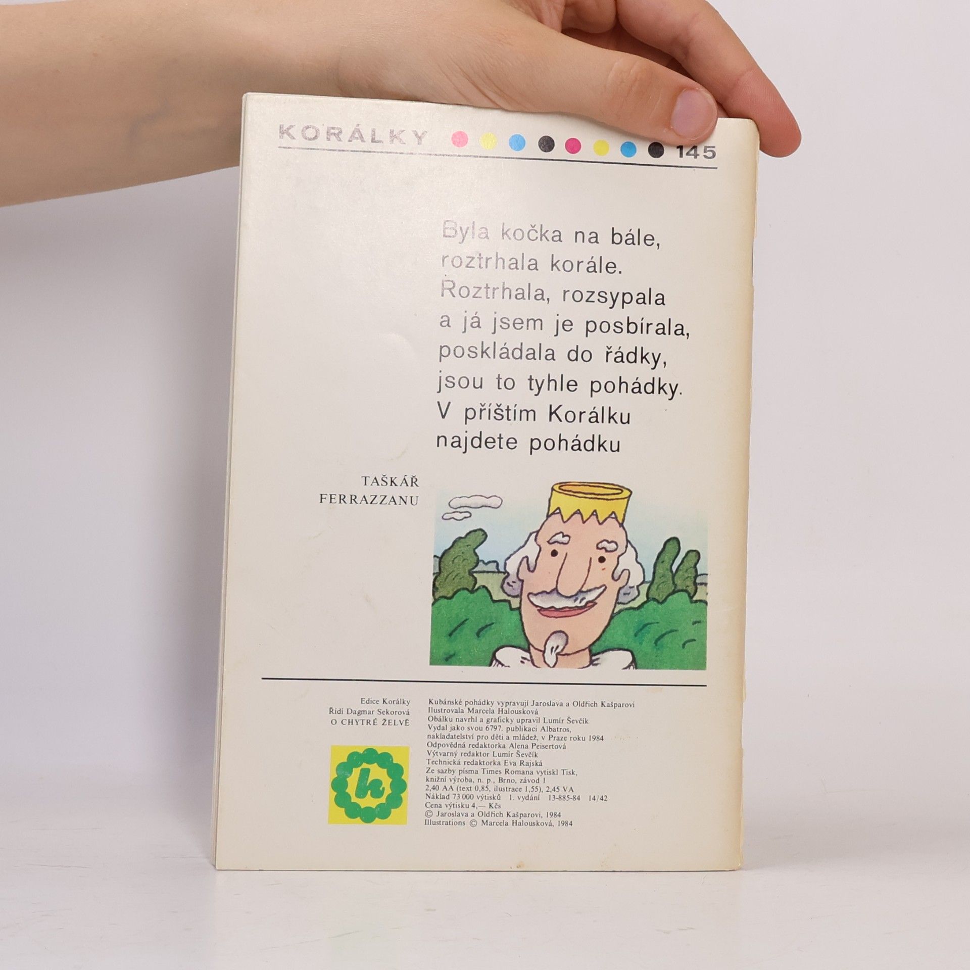 Autorenkollektiv O chytré želvě