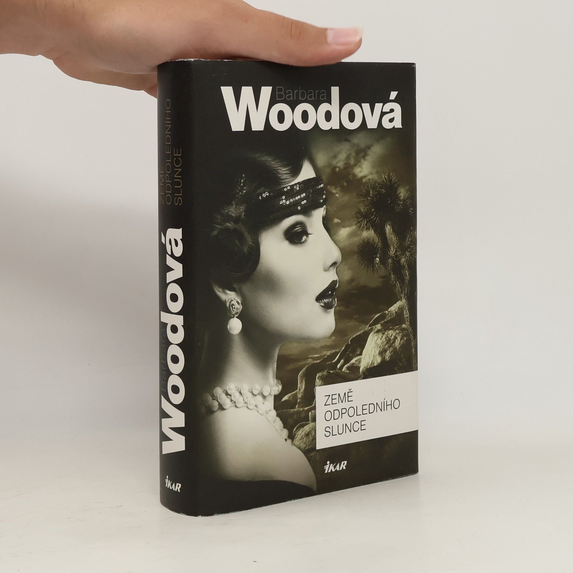 Barbara Wood Země odpoledního slunce