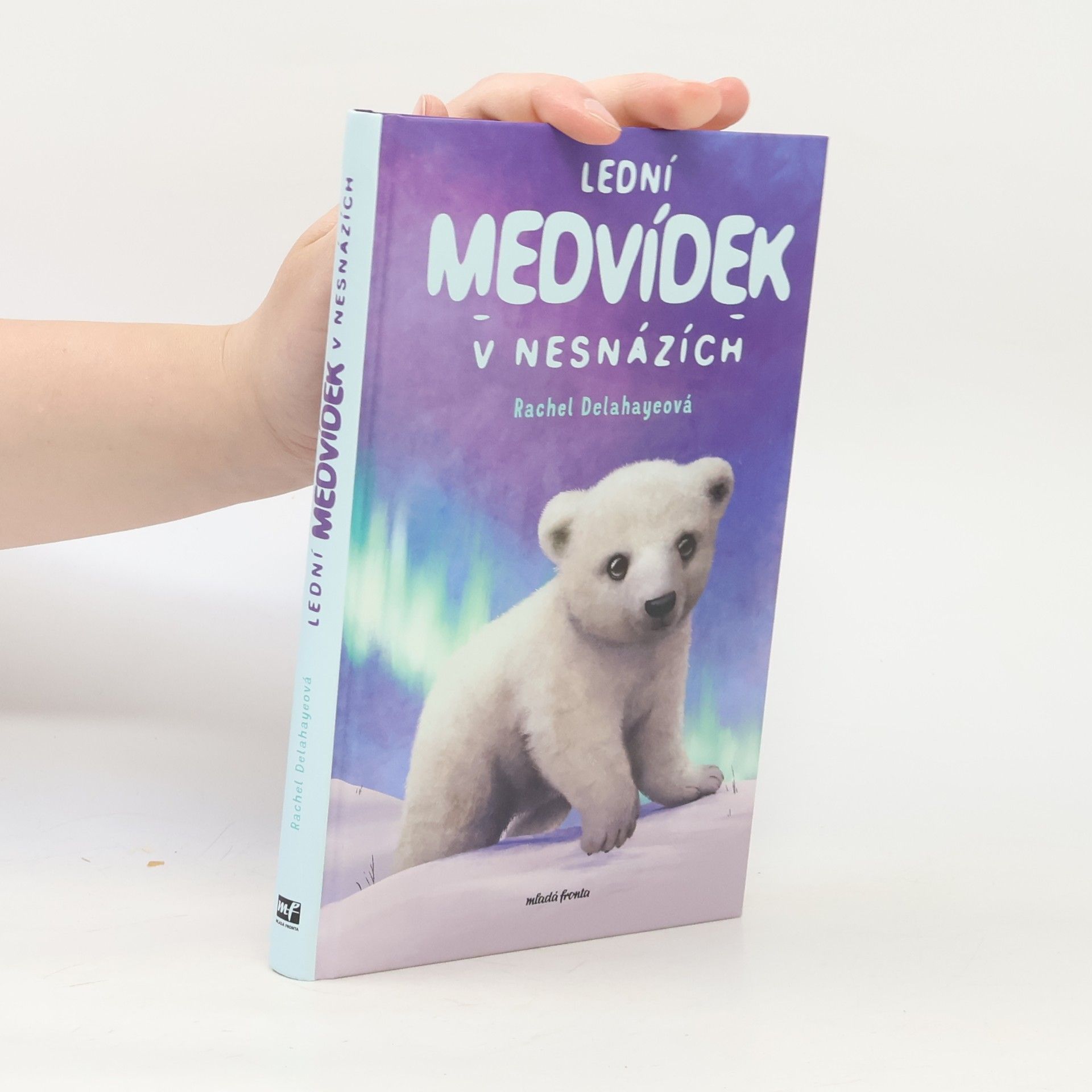 Rachel Delahaye Lední medvídek v nesnázích