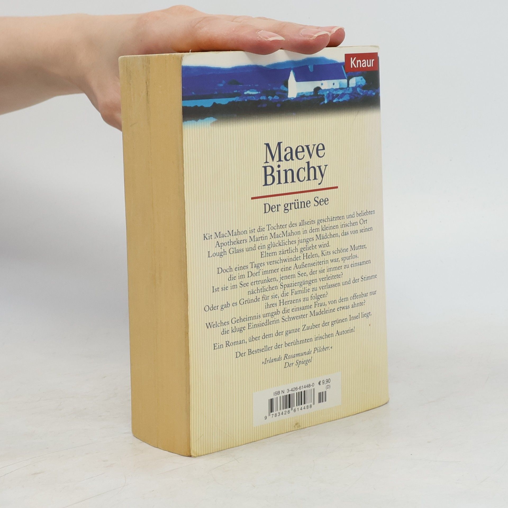 Maeve Binchy Der grüne See