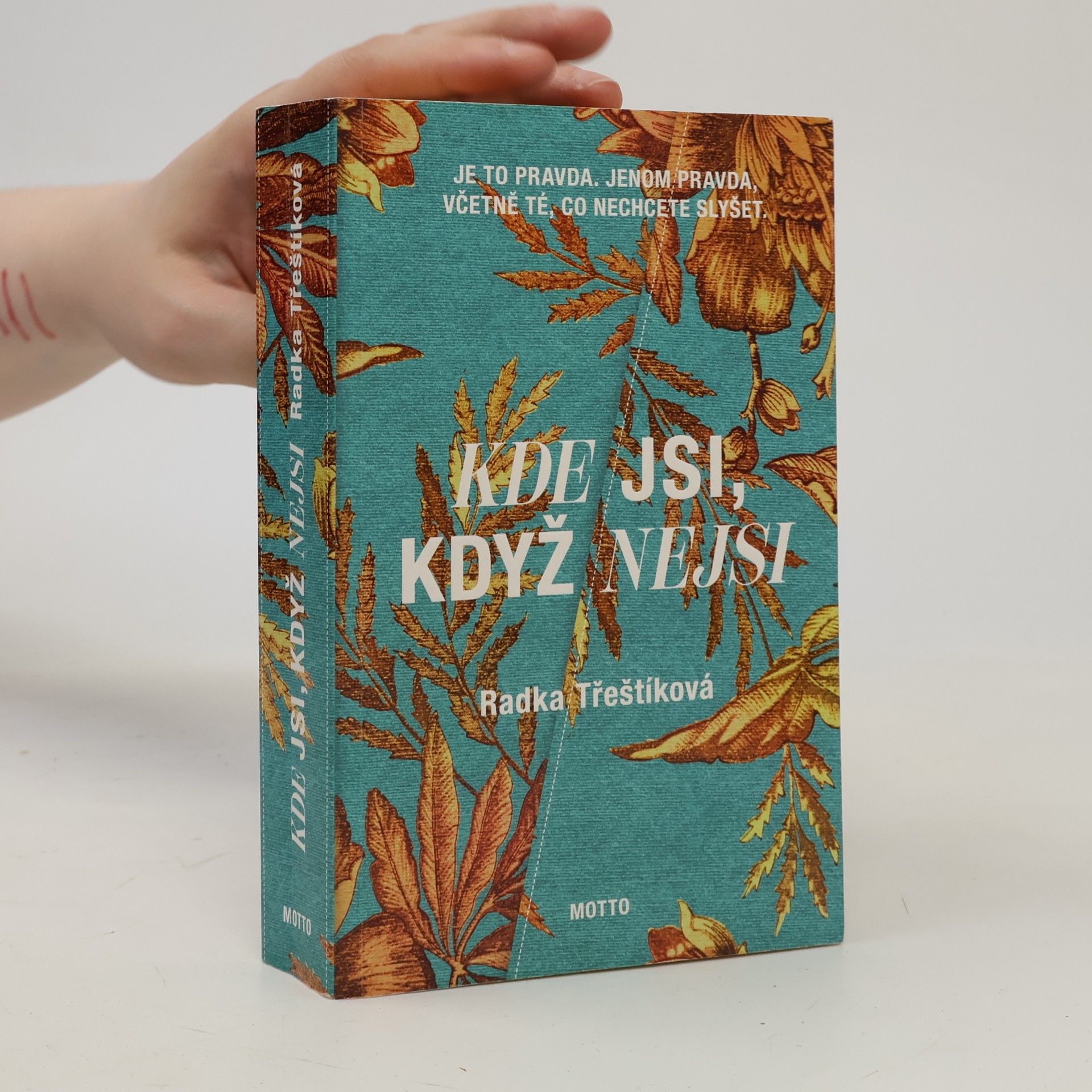 Radka Třeštíková Kde jsi, když nejsi