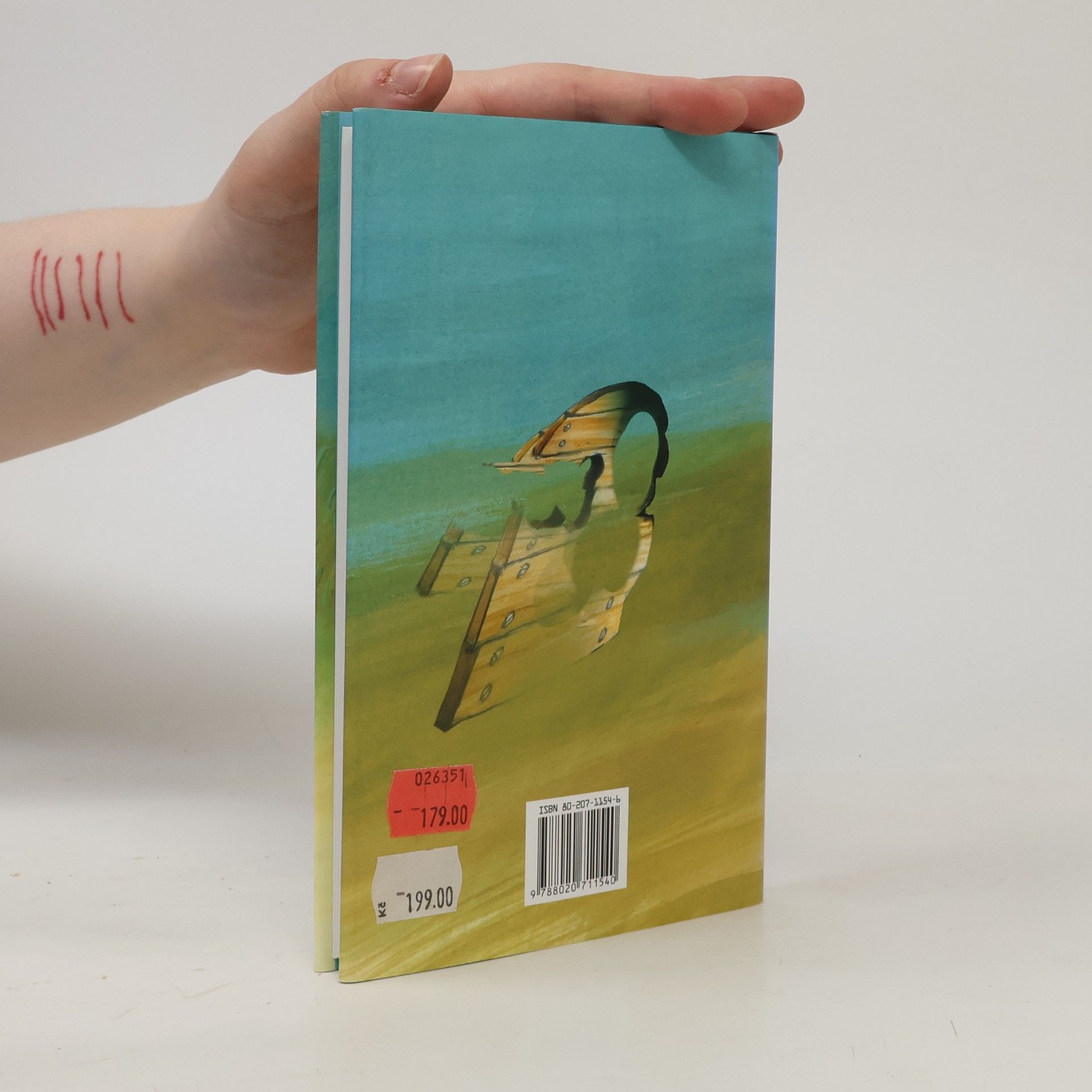 John Irving Pokus o záchranu Čuňáka Sneeda