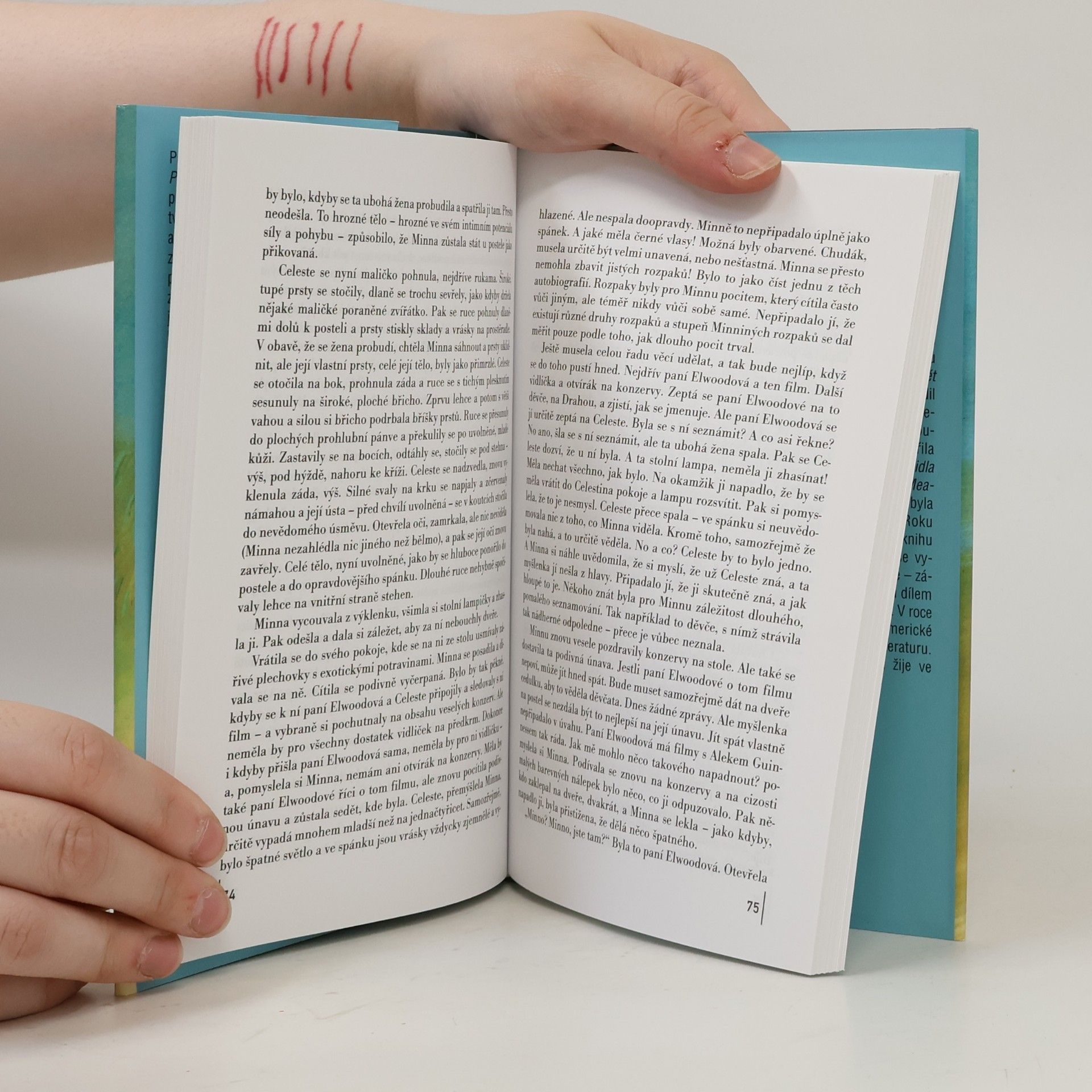 John Irving Pokus o záchranu Čuňáka Sneeda