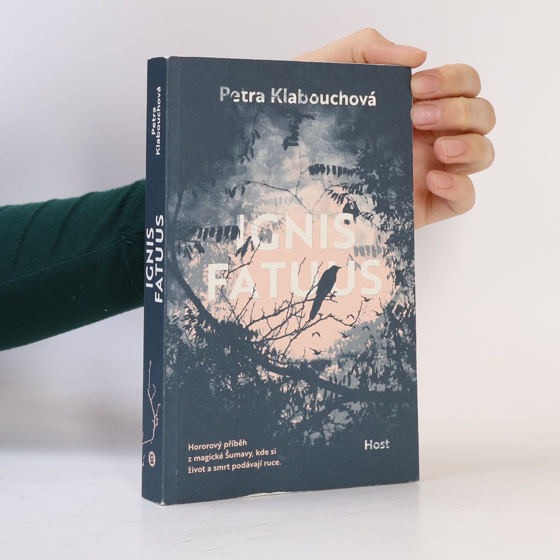 Petra Klabouchová Ignis fatuus