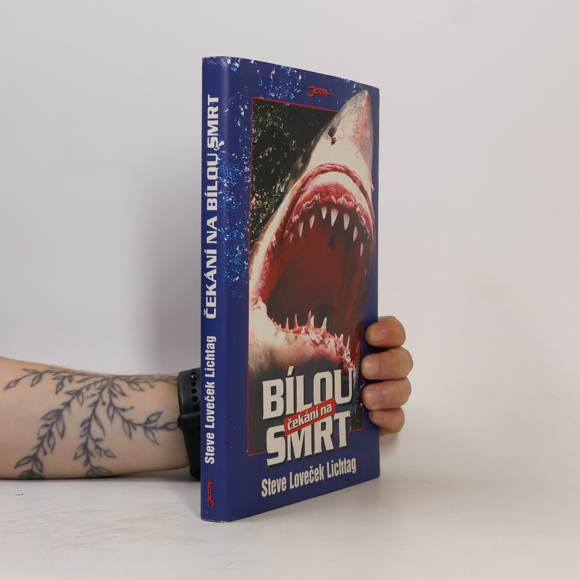 Steve Lichtag Čekání na bílou smrt
