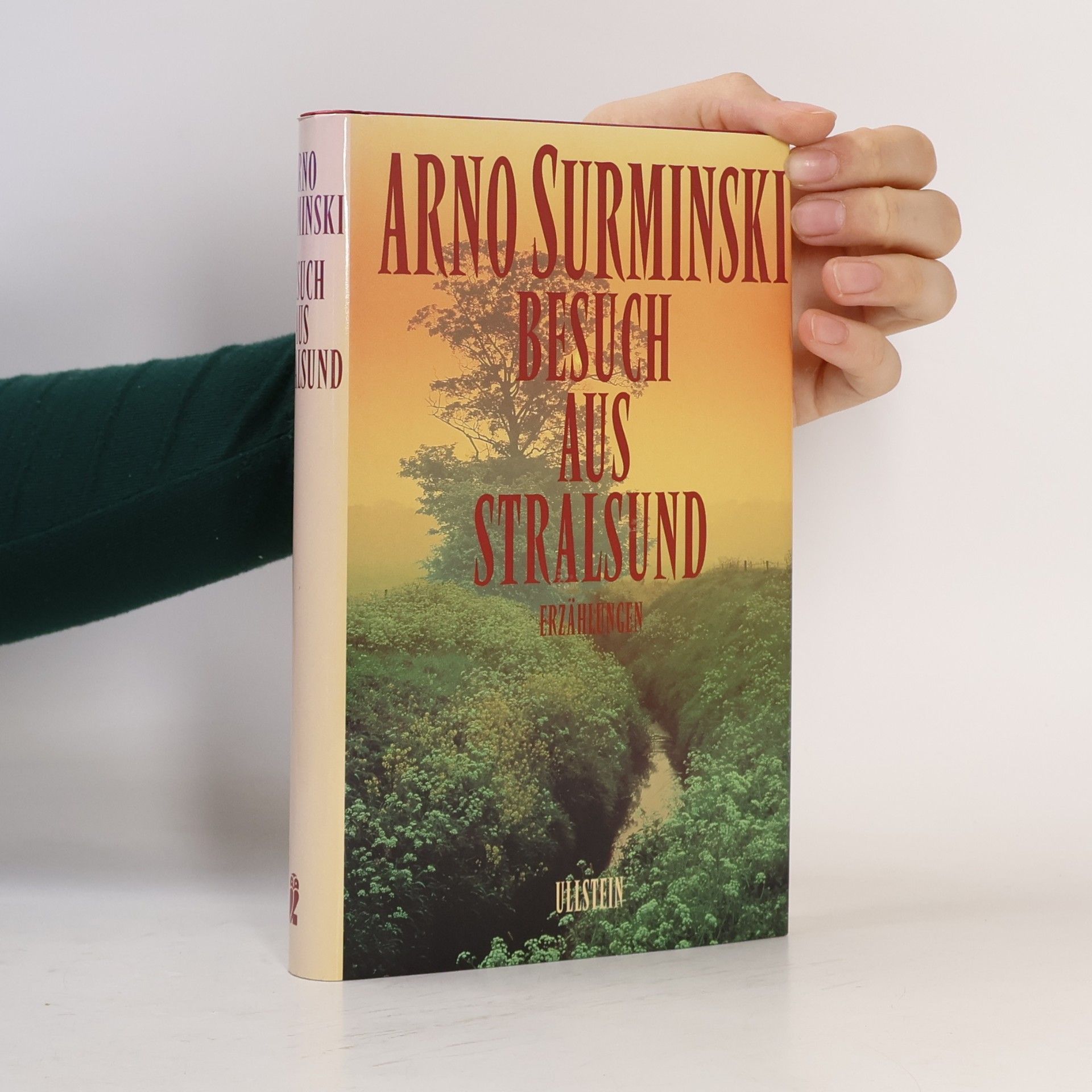 Arno Surminski Besuch aus Stralsund. Erzählungen