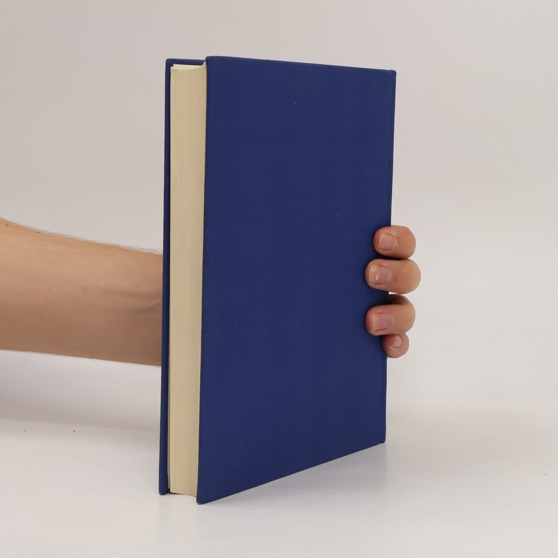 Reinhard Kretzmann Handbuch der Elektronik