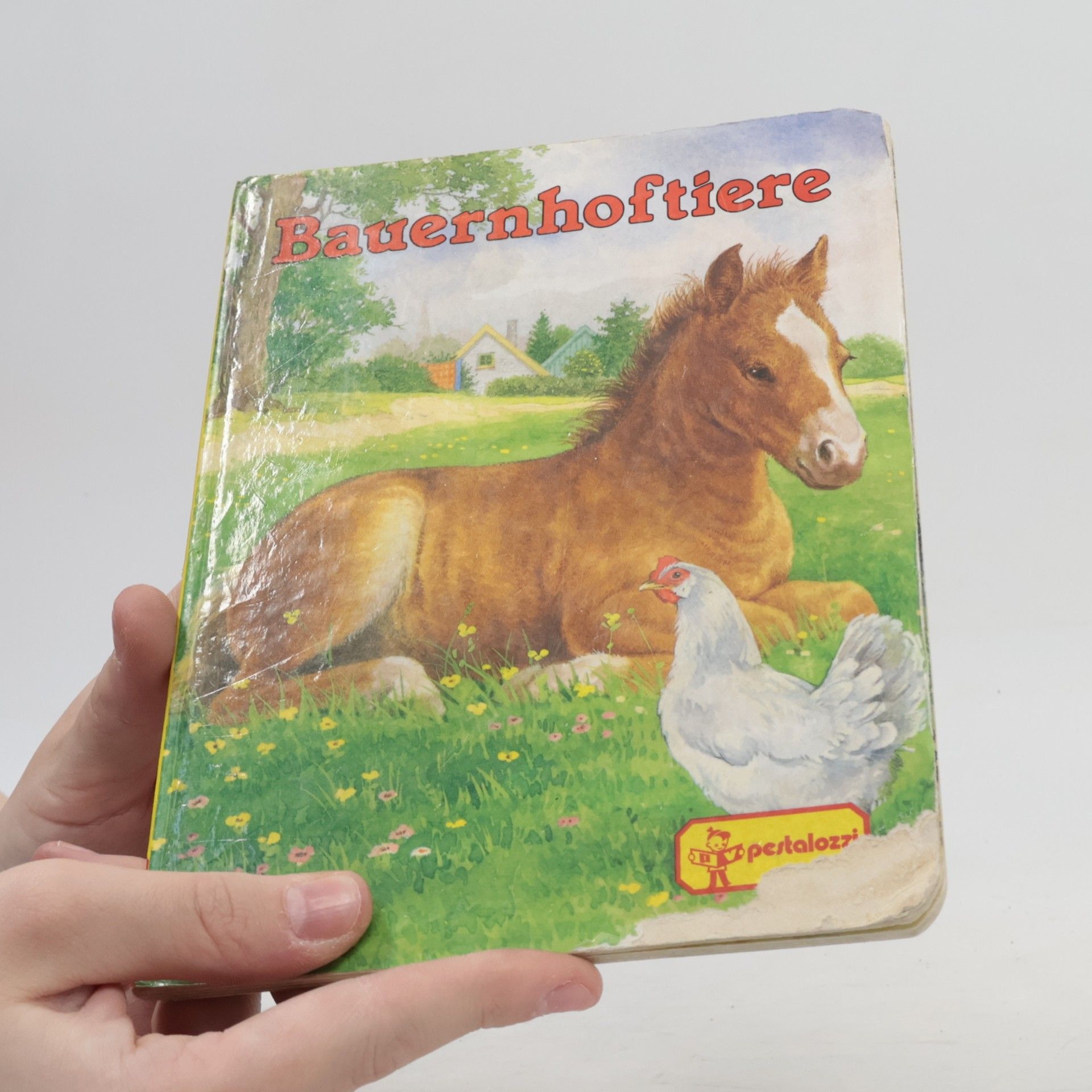 Gisela Fischer-Lingat Bauernhoftiere
