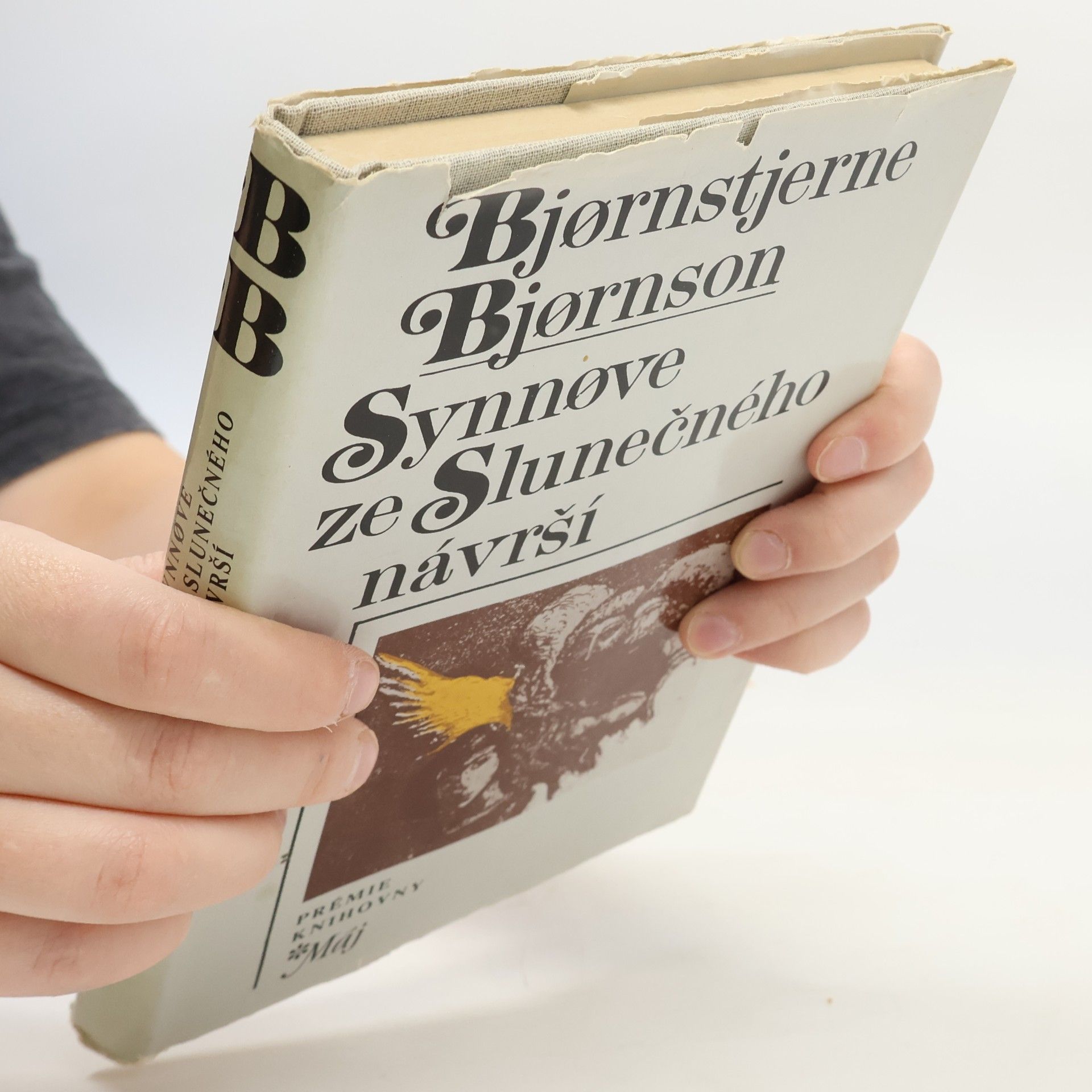 Bjørnstjerne Bjørnson Synnøve ze Slunečného návrší