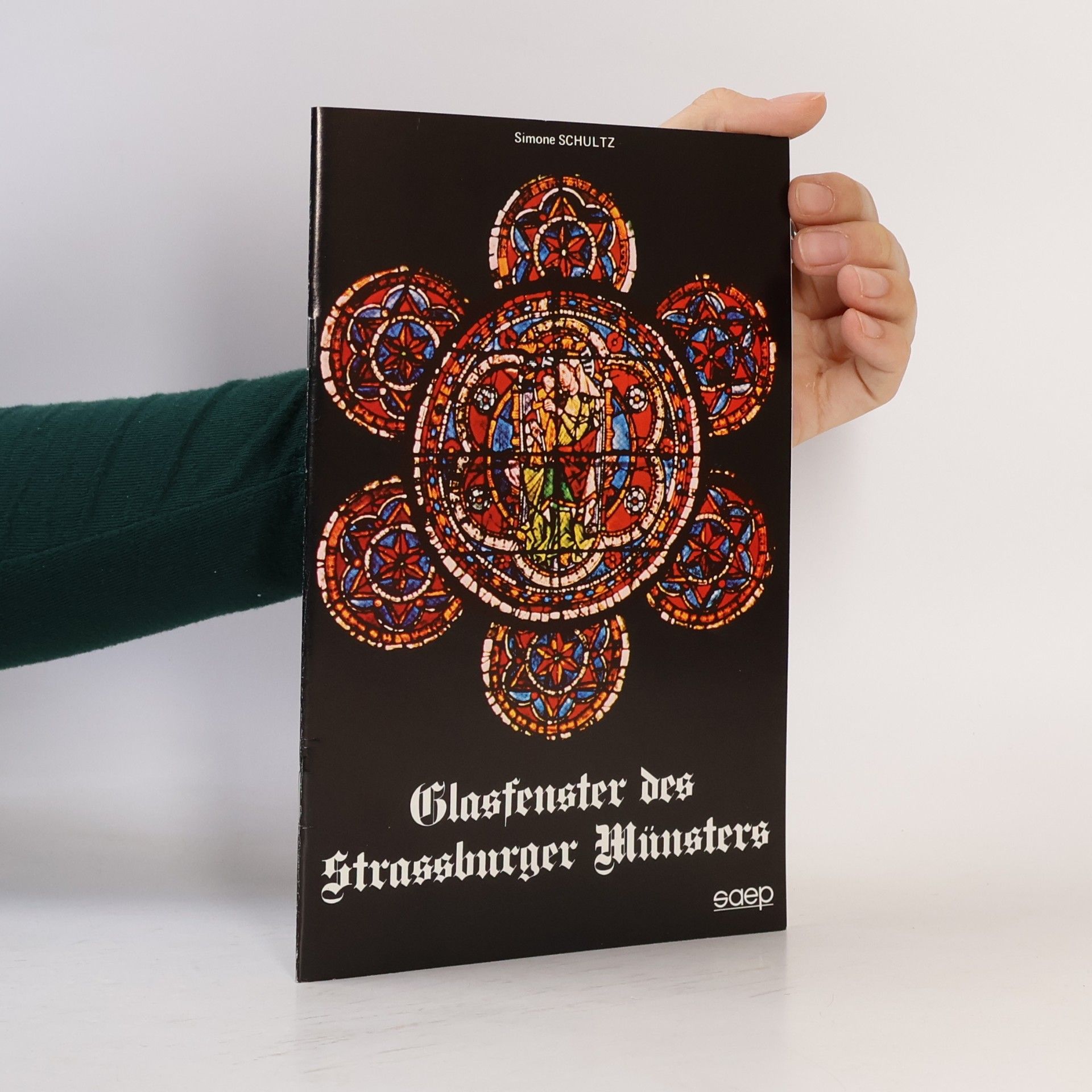 Simone Schultz Glasfenster des Strassburger Münsters