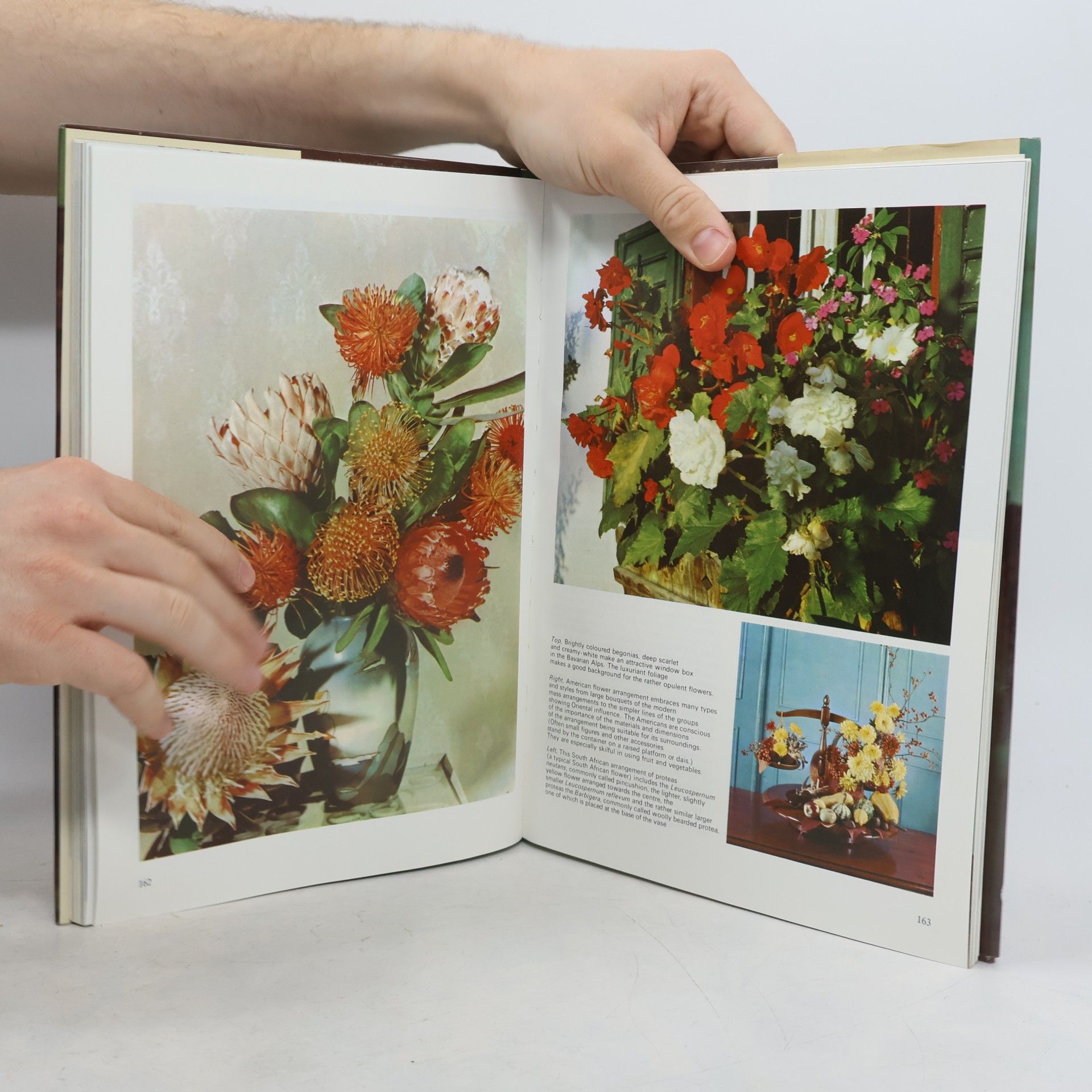 Betty Massingham Flower Arranging in Colour