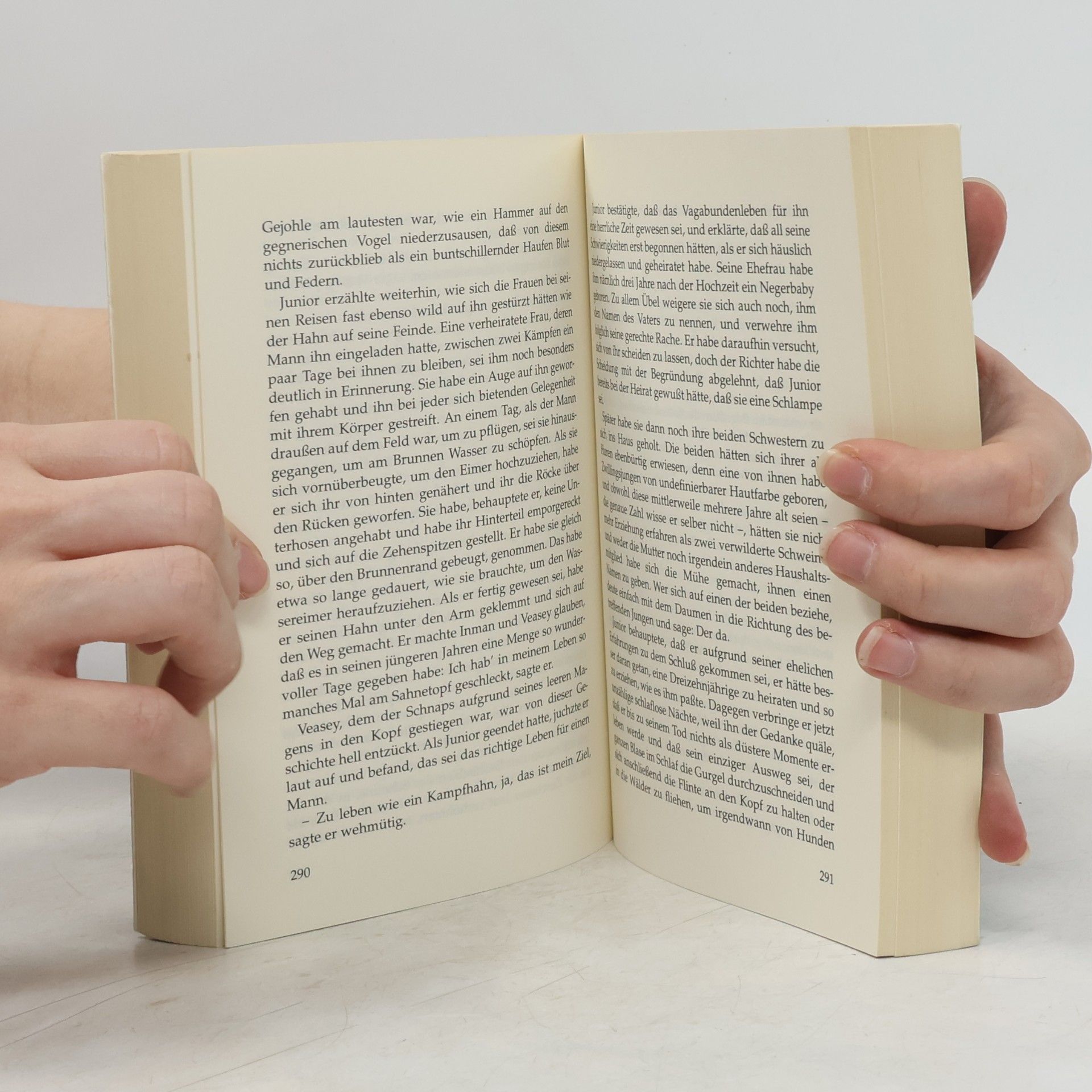 Charles Frazier Unterwegs nach Cold Mountain