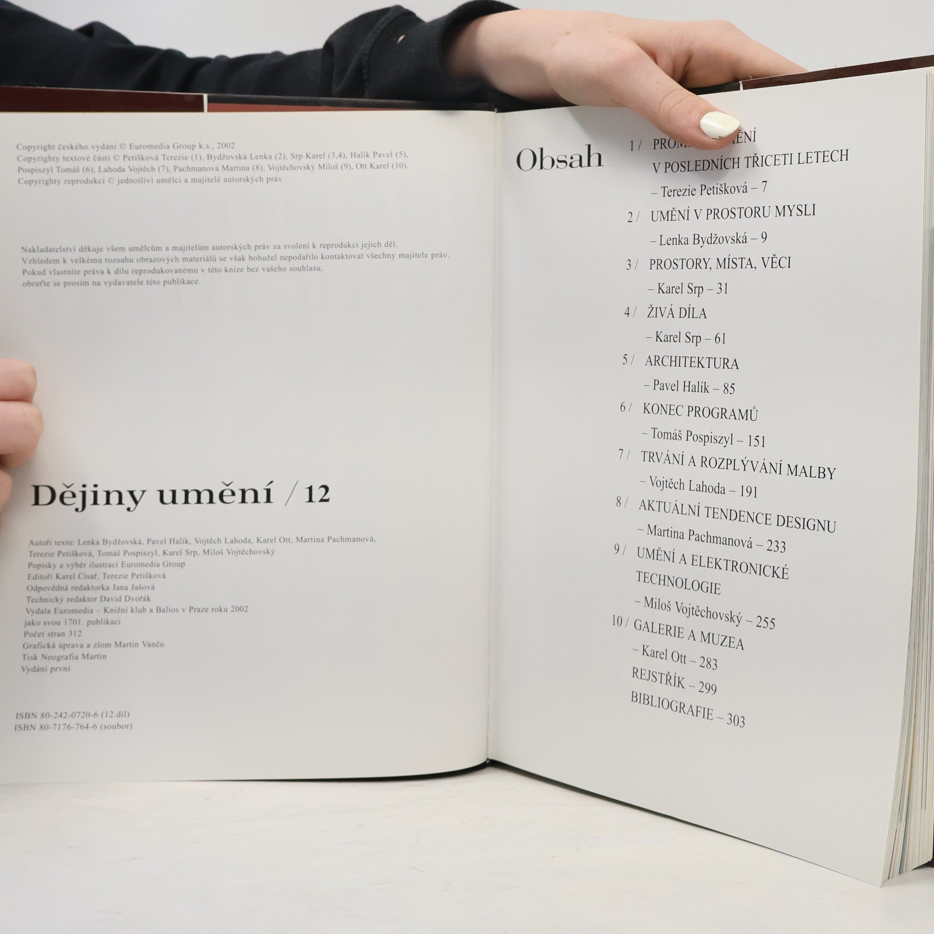 AA.VV. Dějiny umění 12