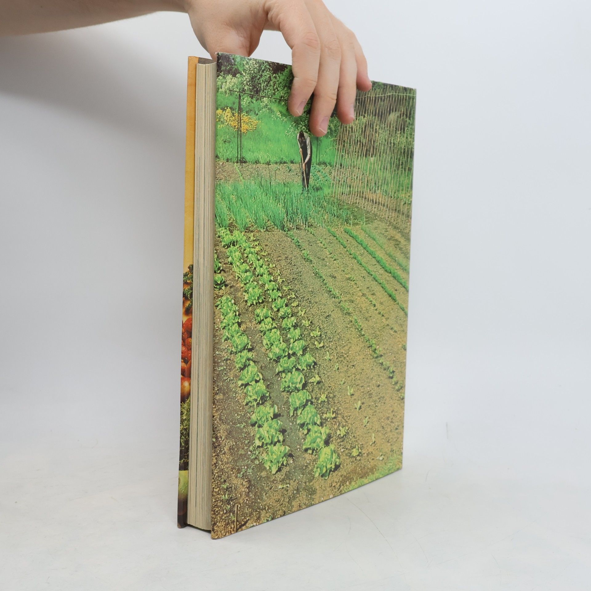 Kolektiv autorů Encyclopedia of Vegetable Gardening