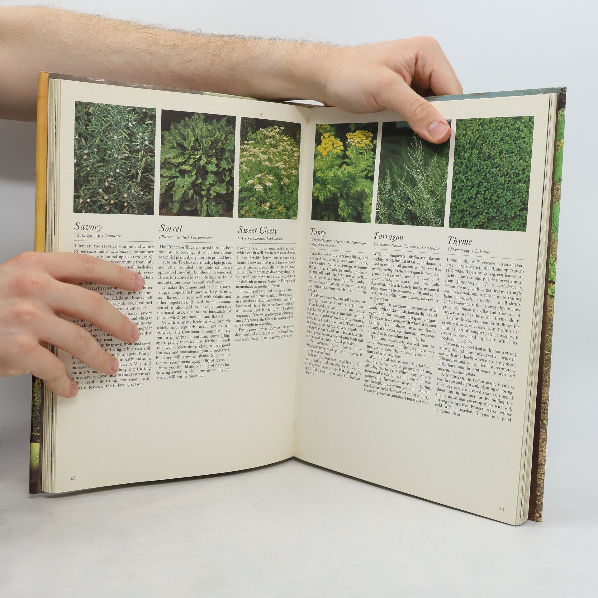 Kolektiv autorů Encyclopedia of Vegetable Gardening