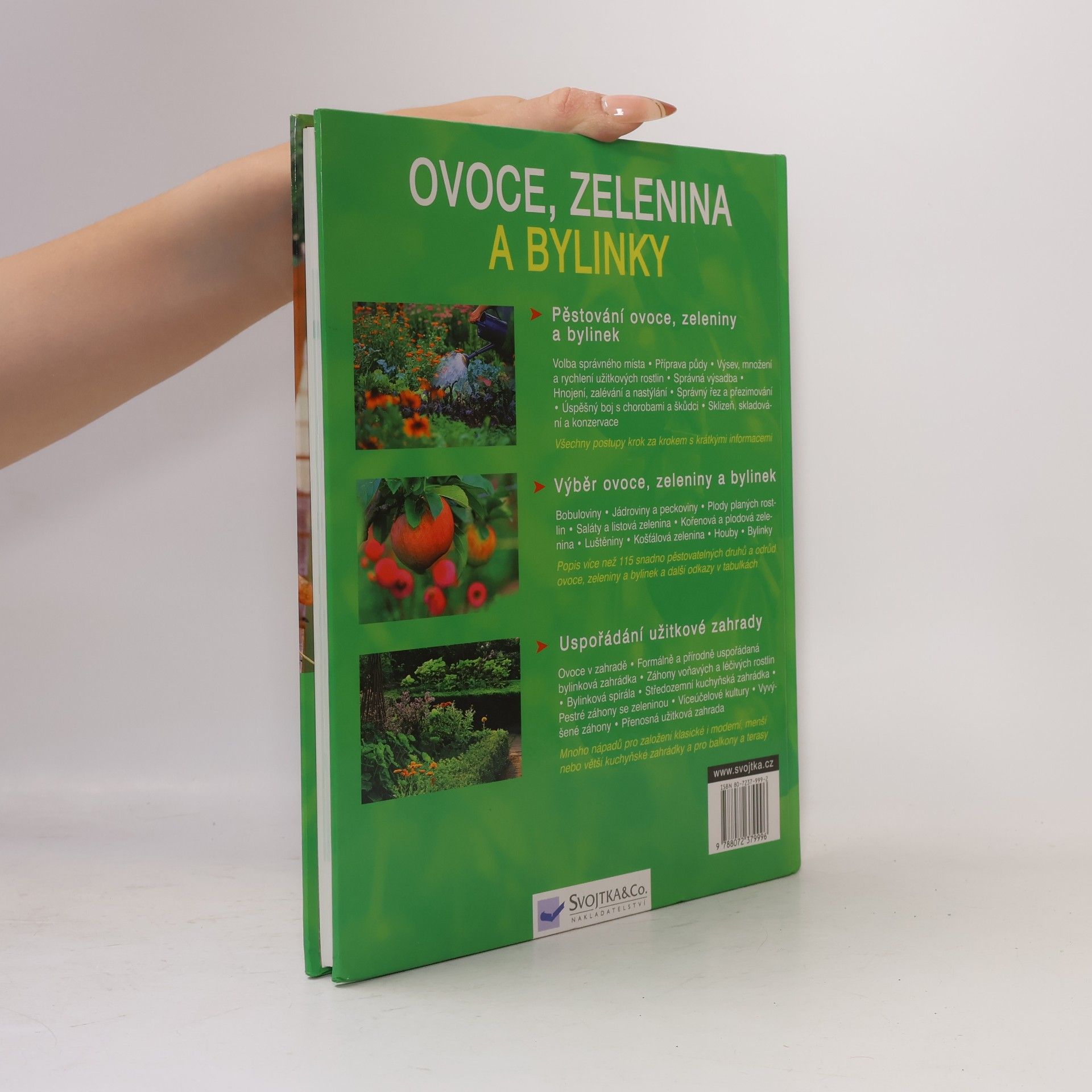 Renate Hudak Ovoce, zelenina a bylinky: Správná výsadba a péče krok za krokem, nejlahodnější druhy pro plný požitek, krásná řešení pro zahradu a balkon