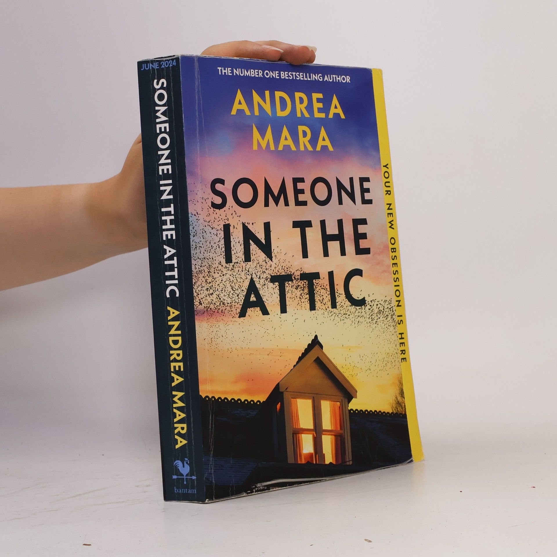 Andrea Mara Someone in the Attic