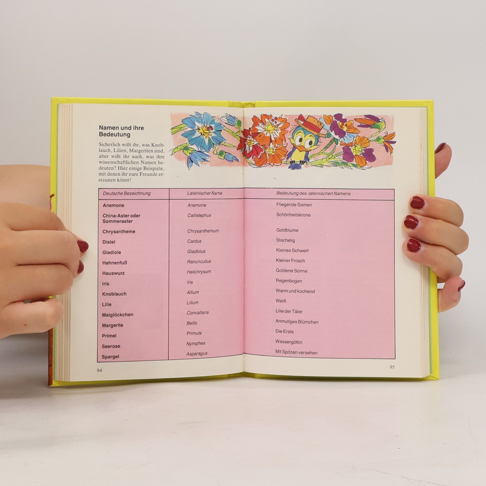 Various authors Walt Disneys geheimes Pflanzenbuch