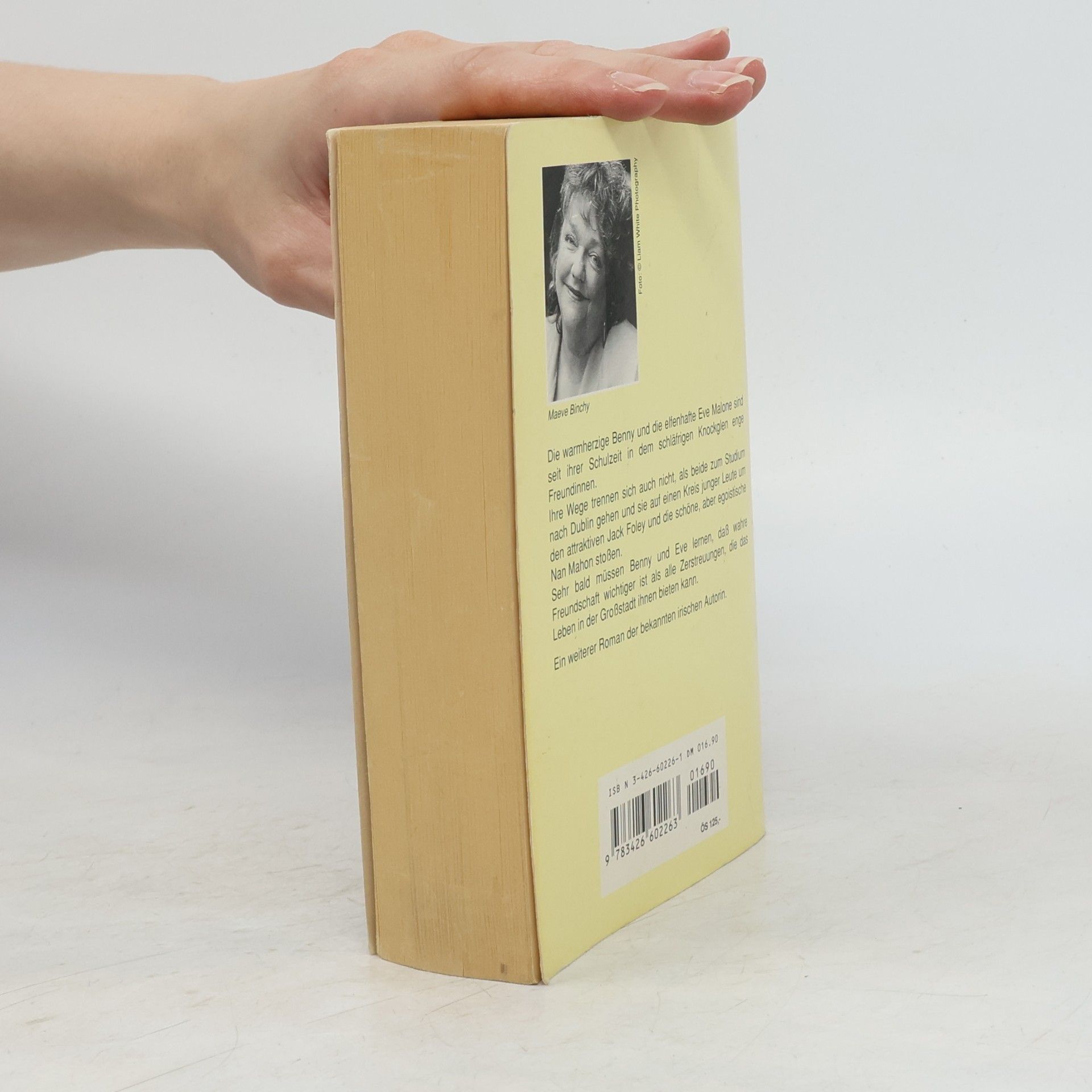 Maeve Binchy Im Kreis der Freunde