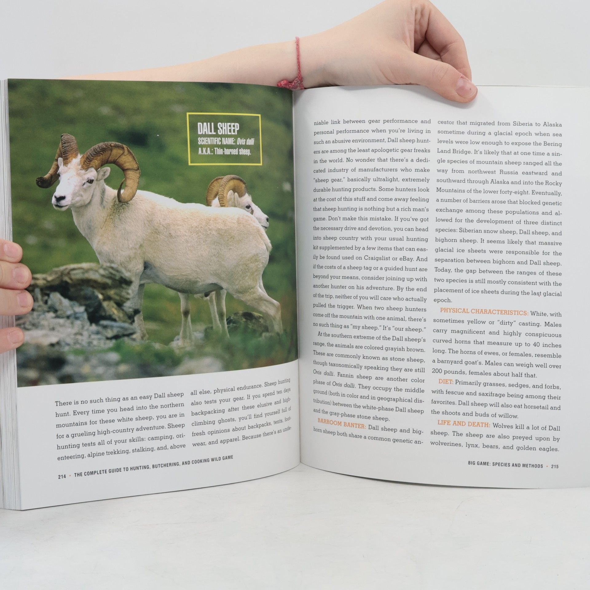 Steven Rinella The Complete Guide to Hunting, Butchering, and Cooking Wild Game, Volume 1
