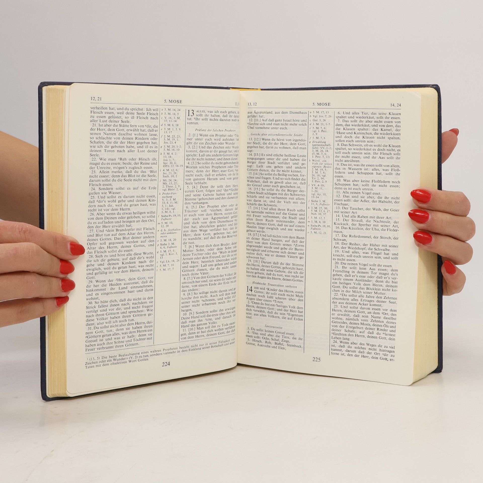 C. I. Scofield Die heilige Schrift