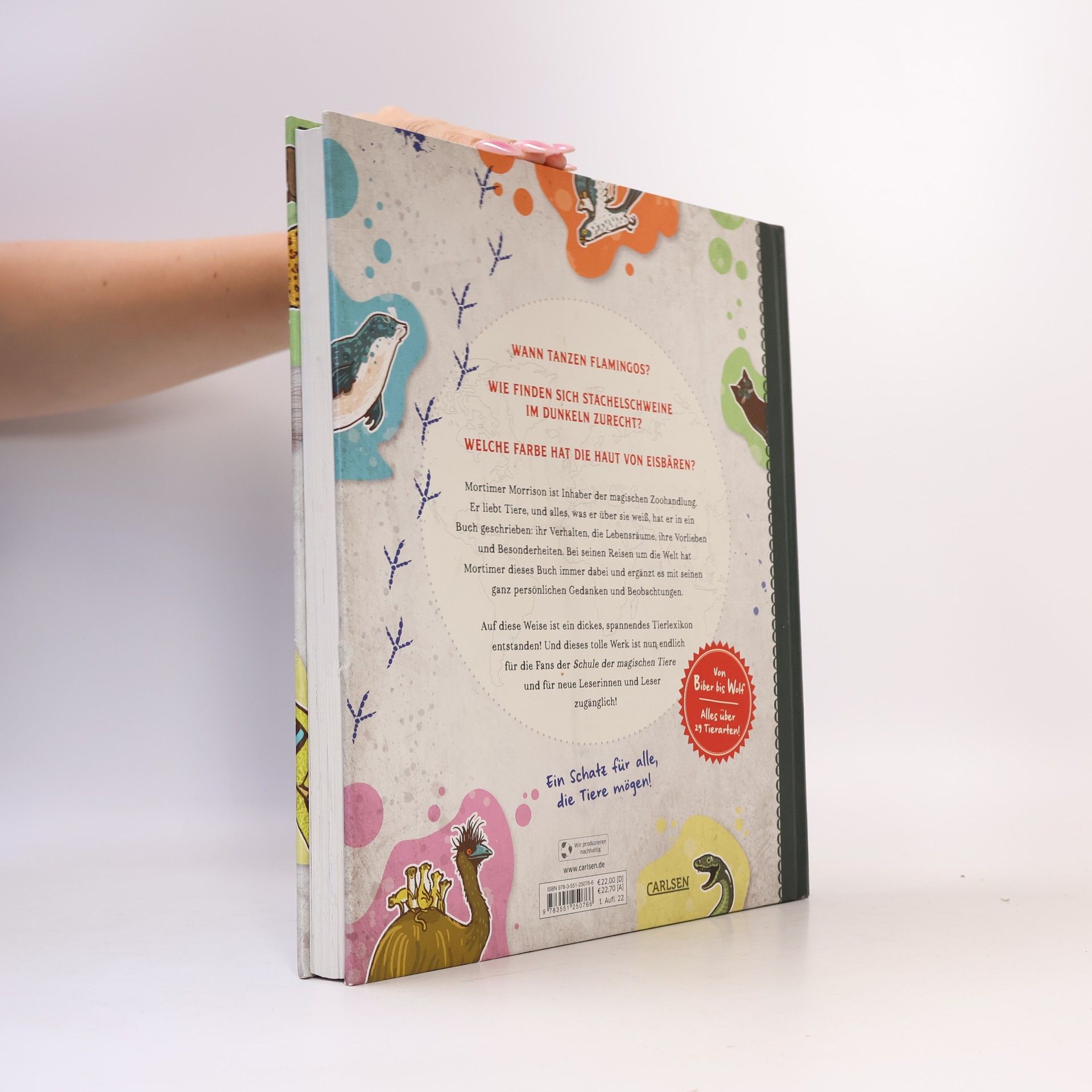 Margit Auer Die Schule der magischen Tiere: Mister Morrisons gesammeltes Tierwissen