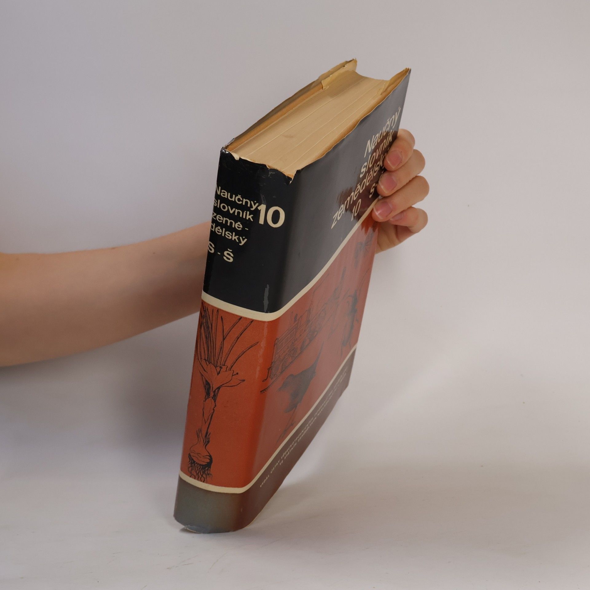 Various authors Naučný slovník zemědělský 10. S-Š