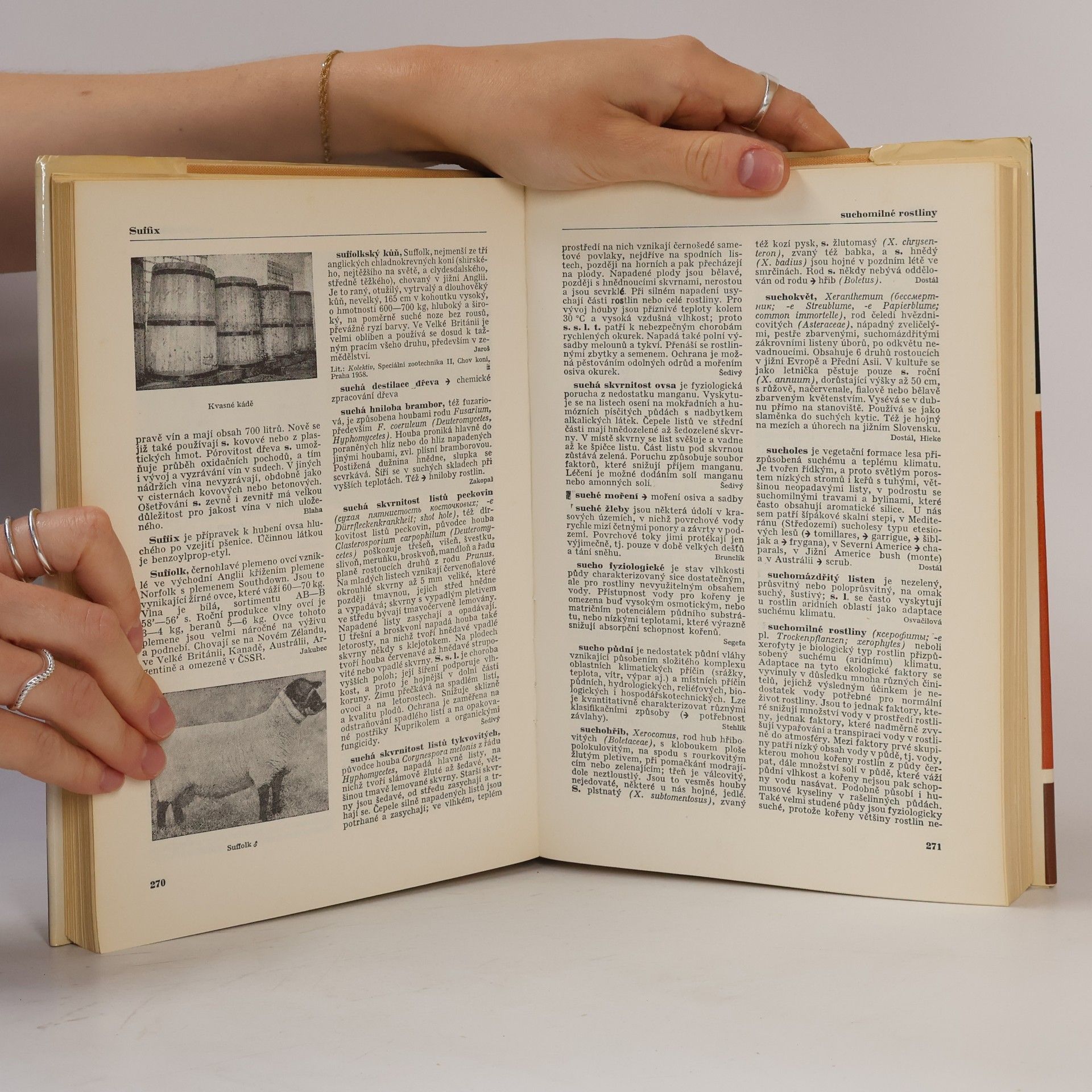 Various authors Naučný slovník zemědělský 10. S-Š
