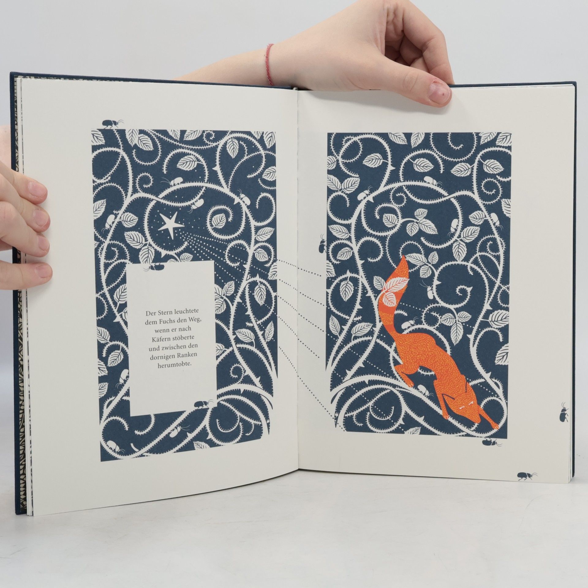 Coralie Bickford-Smith Der Fuchs und der Stern
