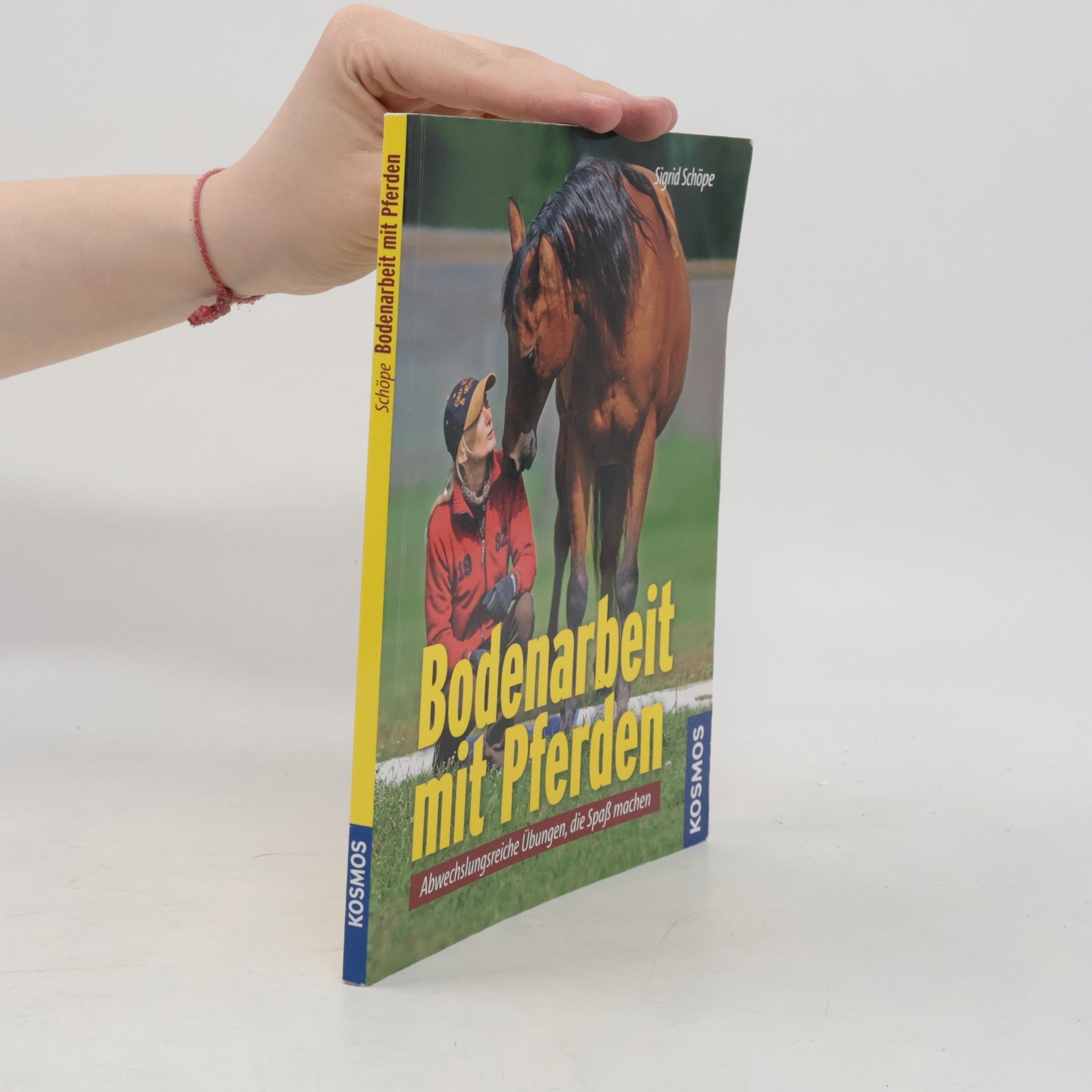 Sigrid Schöpe Bodenarbeit mit Pferden